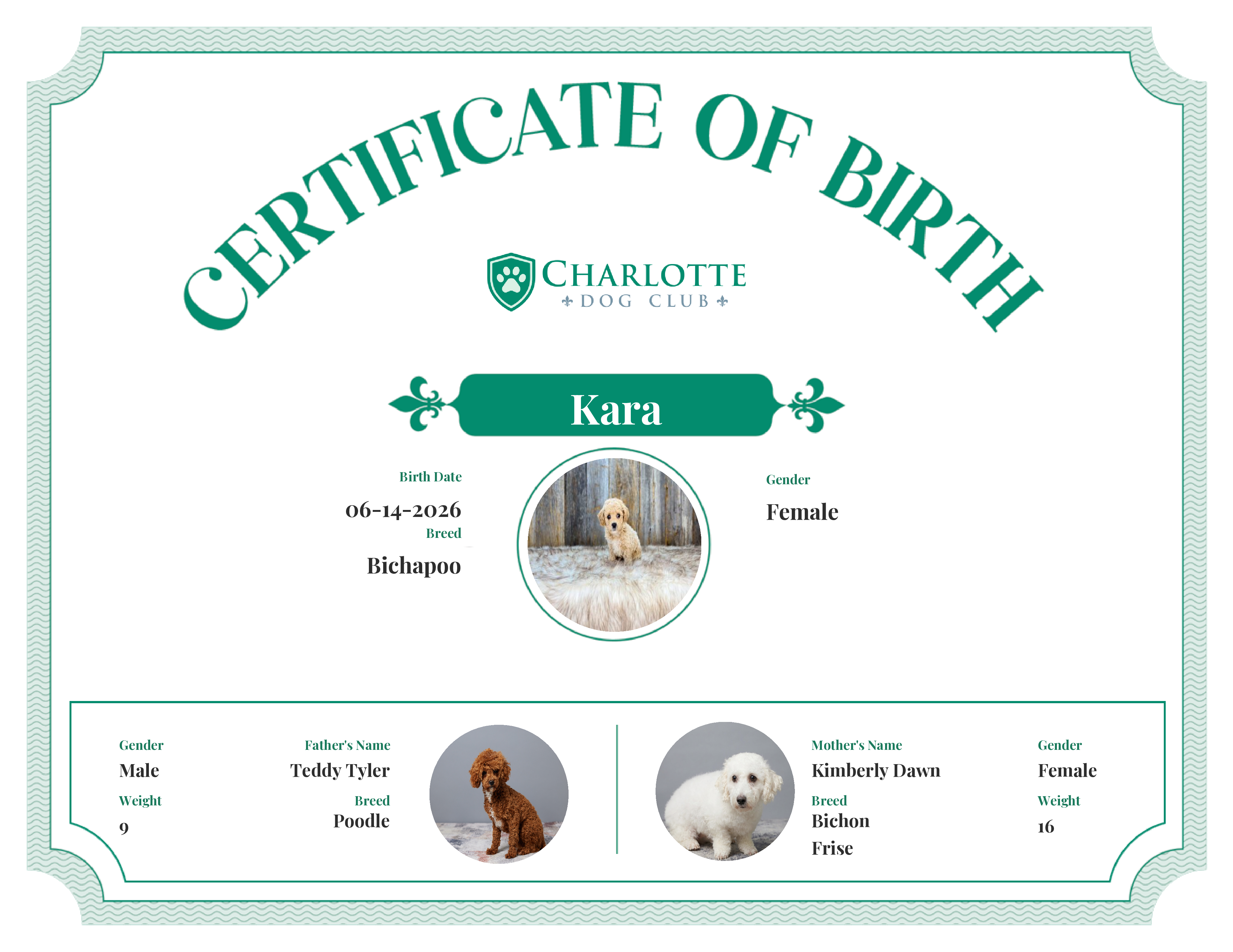 Kara's Birth Certificate