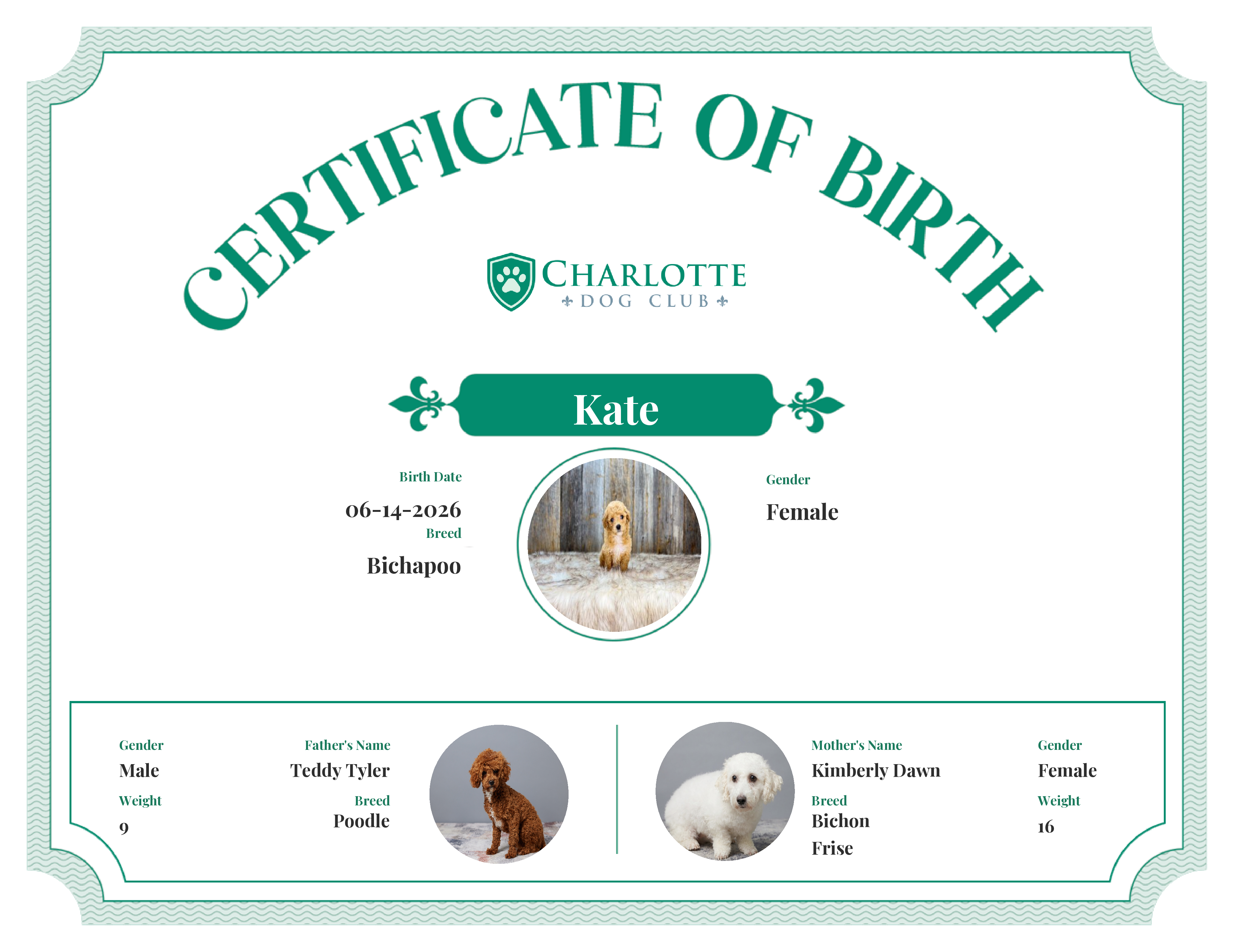 Kate's Birth Certificate