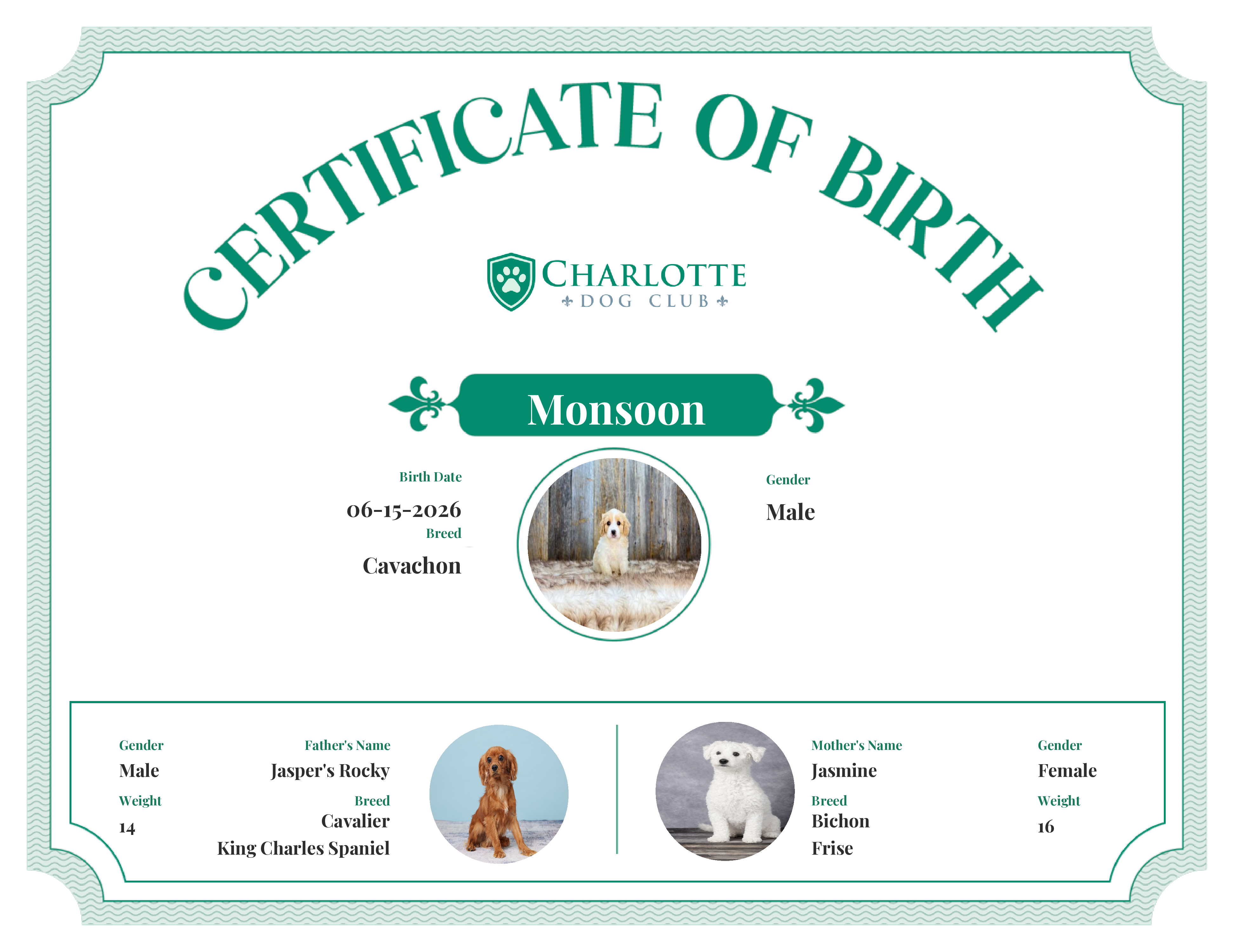 Monsoon's Birth Certificate