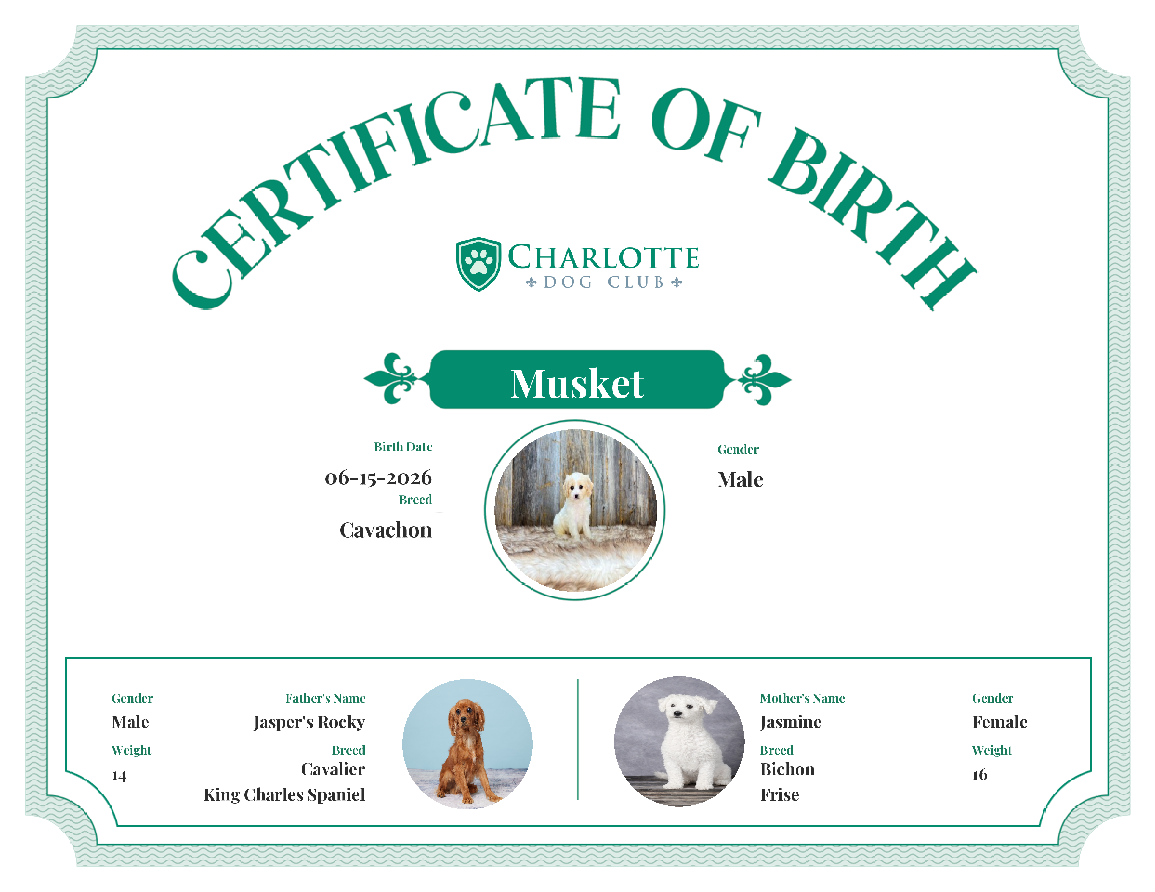 Musket's Birth Certificate