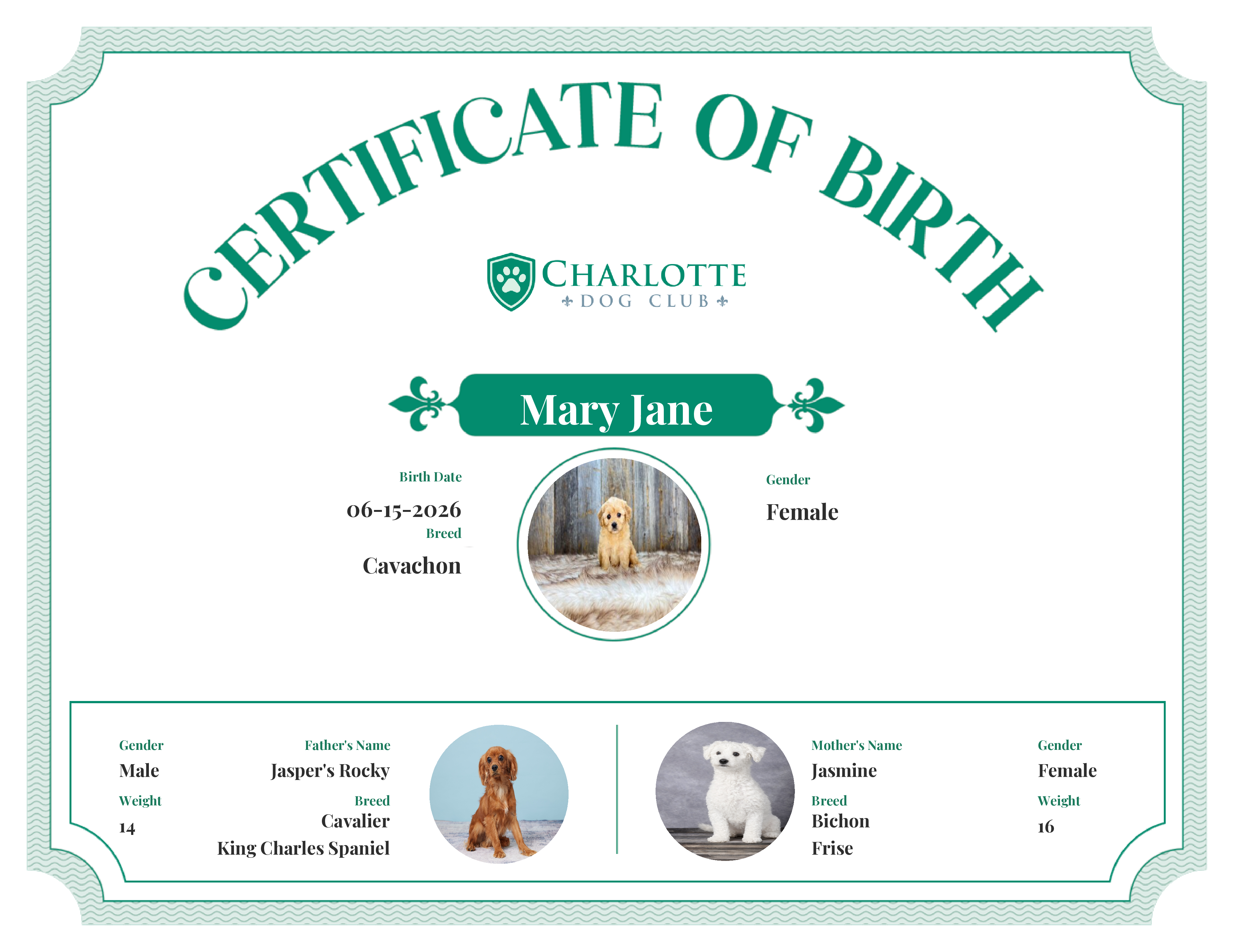 Mary Jane's Birth Certificate