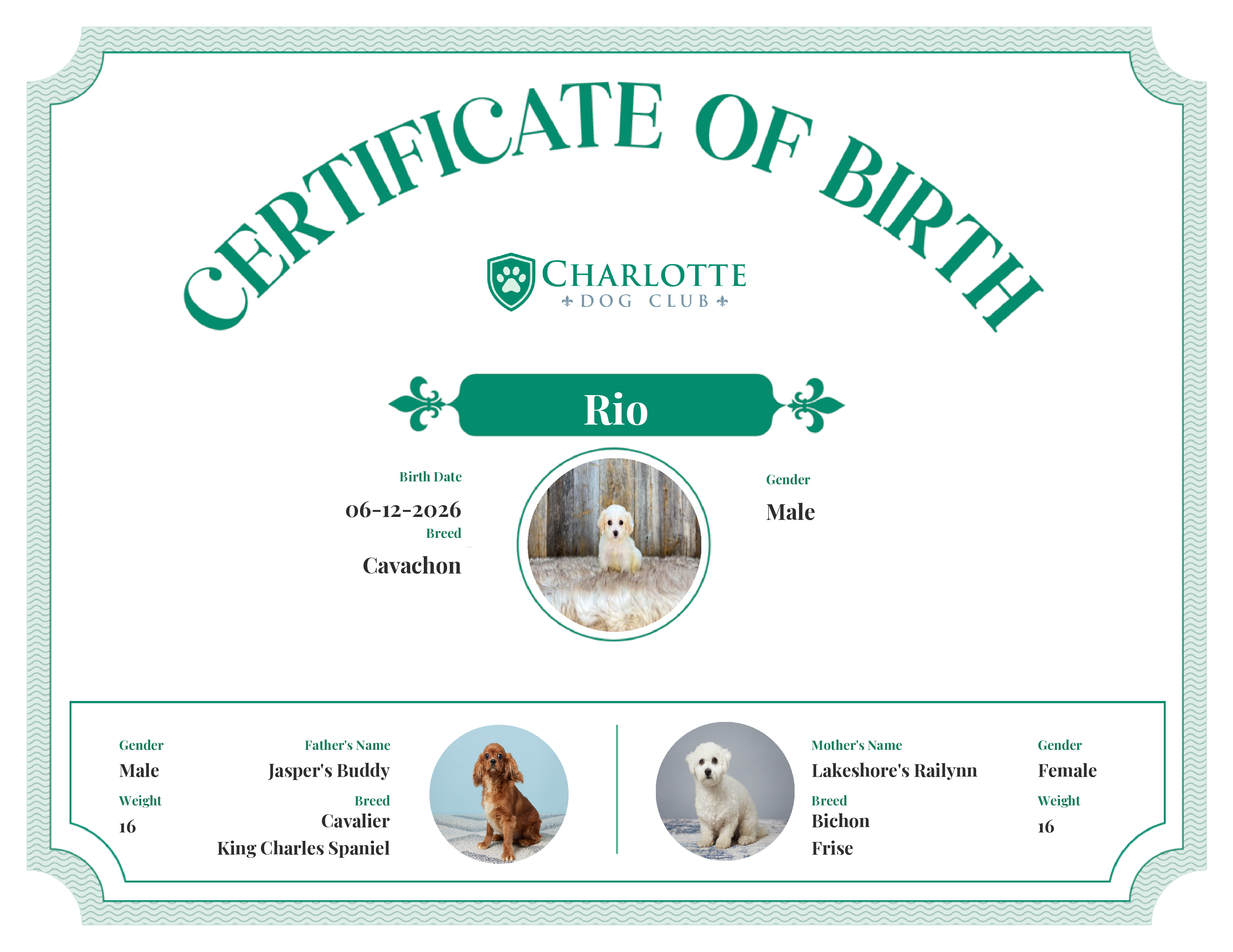 Rio's Birth Certificate