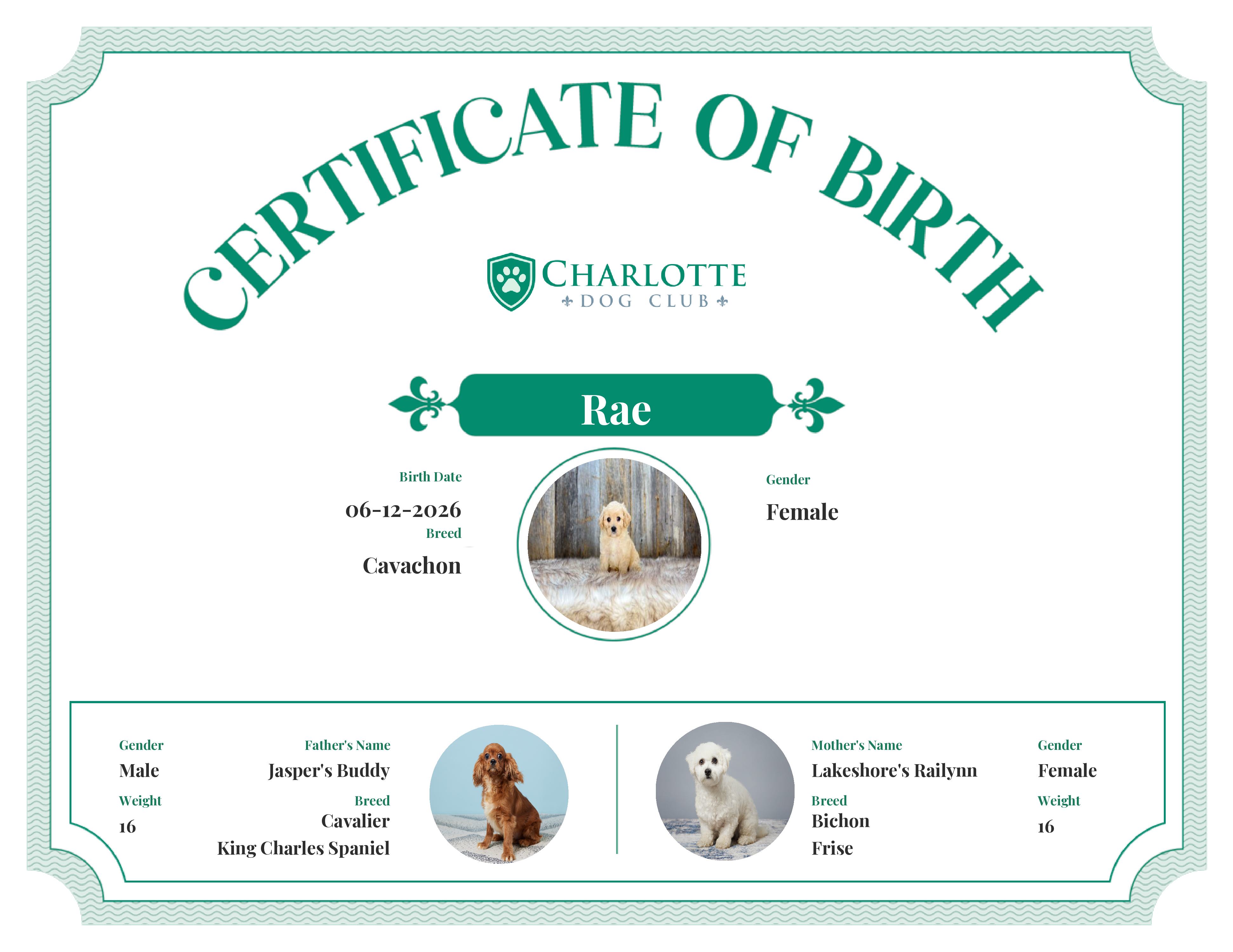 Rae's Birth Certificate