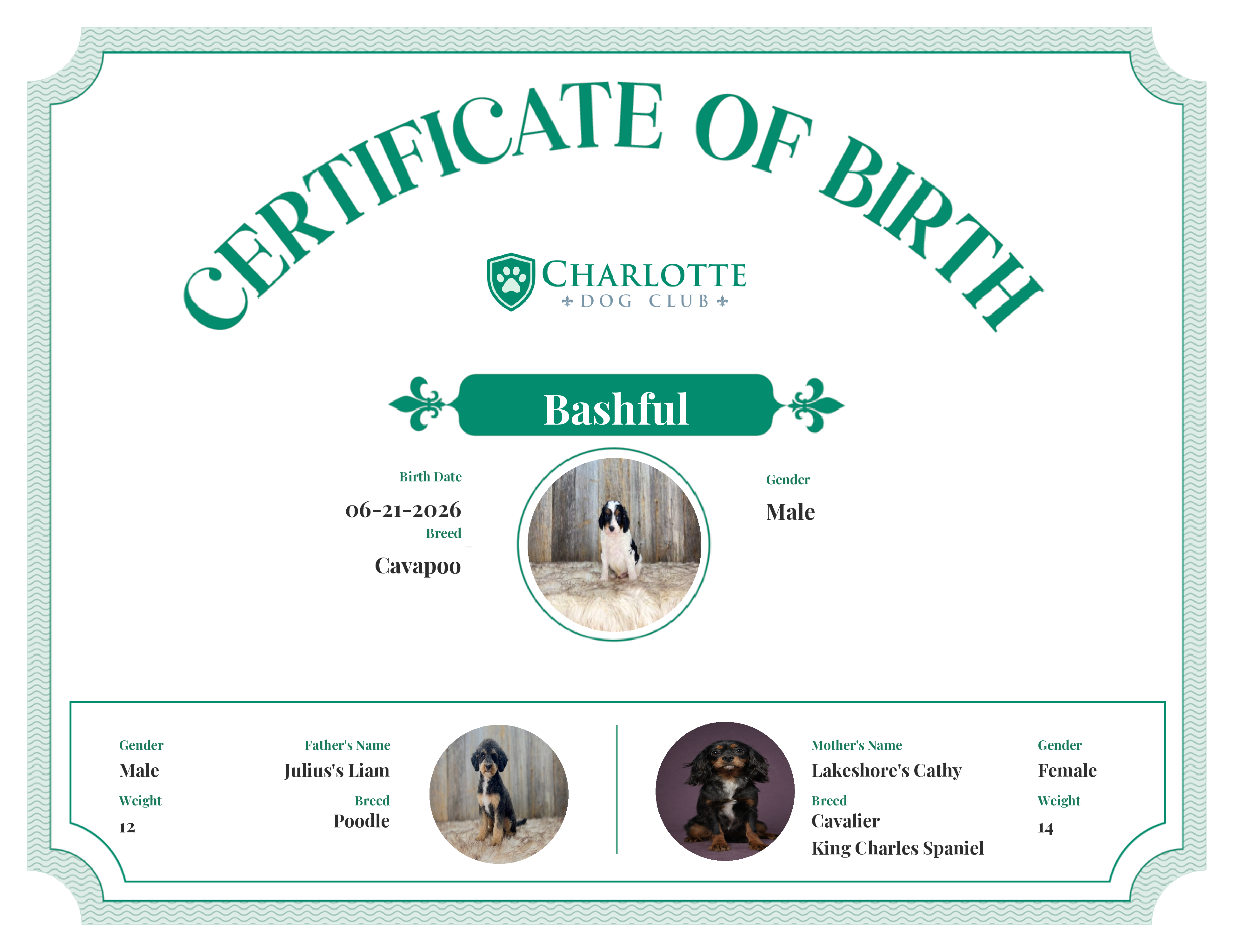 Bashful's Birth Certificate