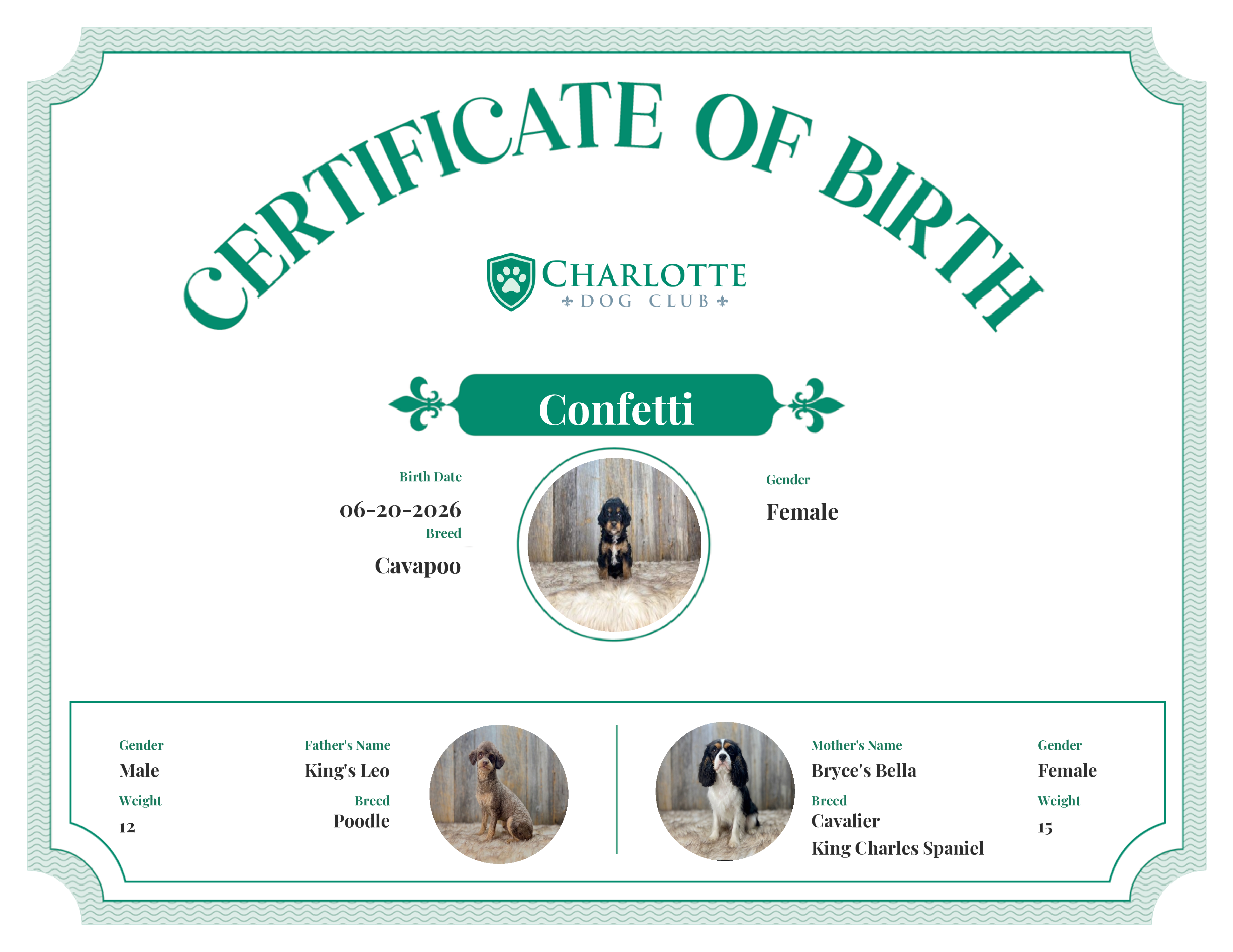 Confetti's Birth Certificate