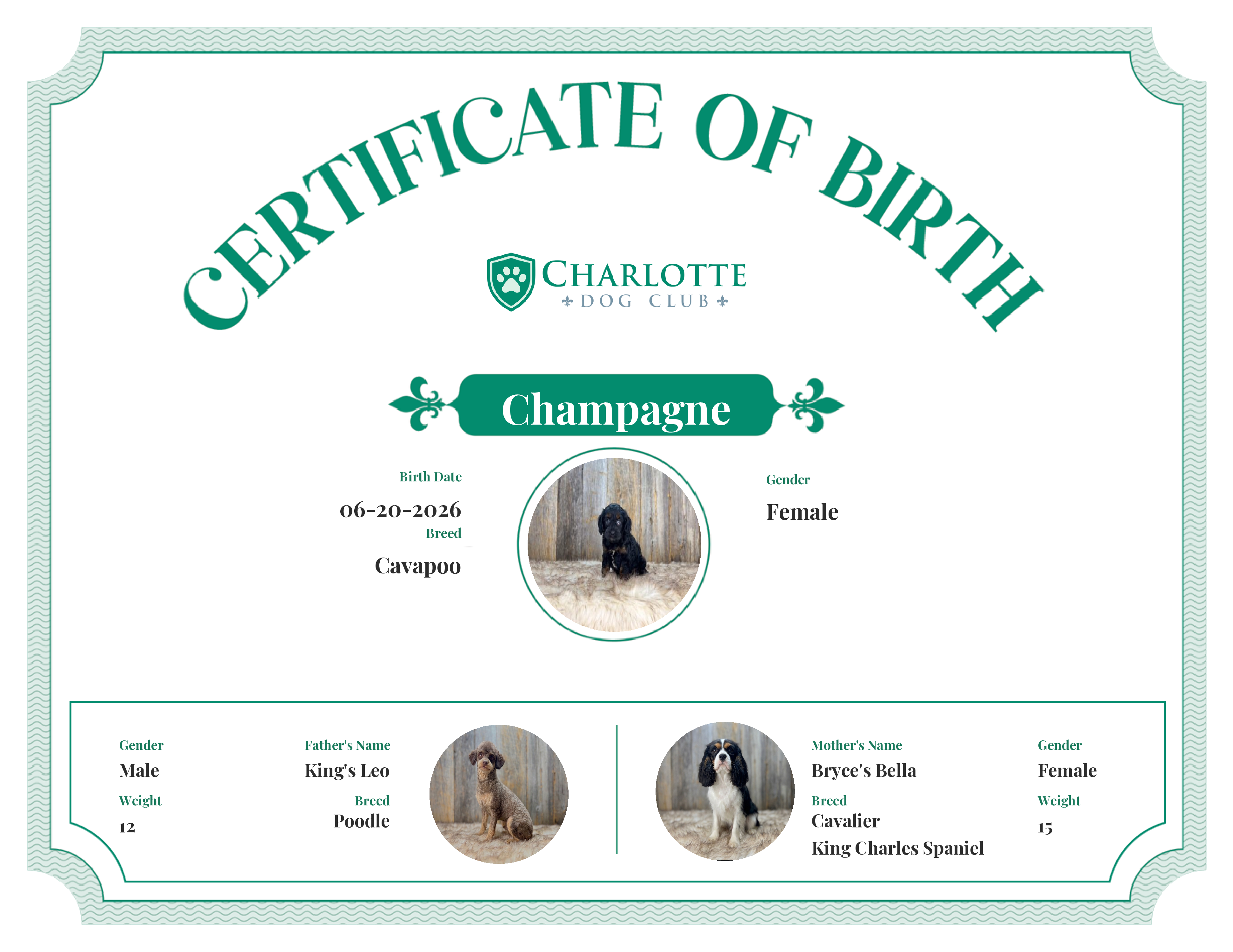 Champagne's Birth Certificate