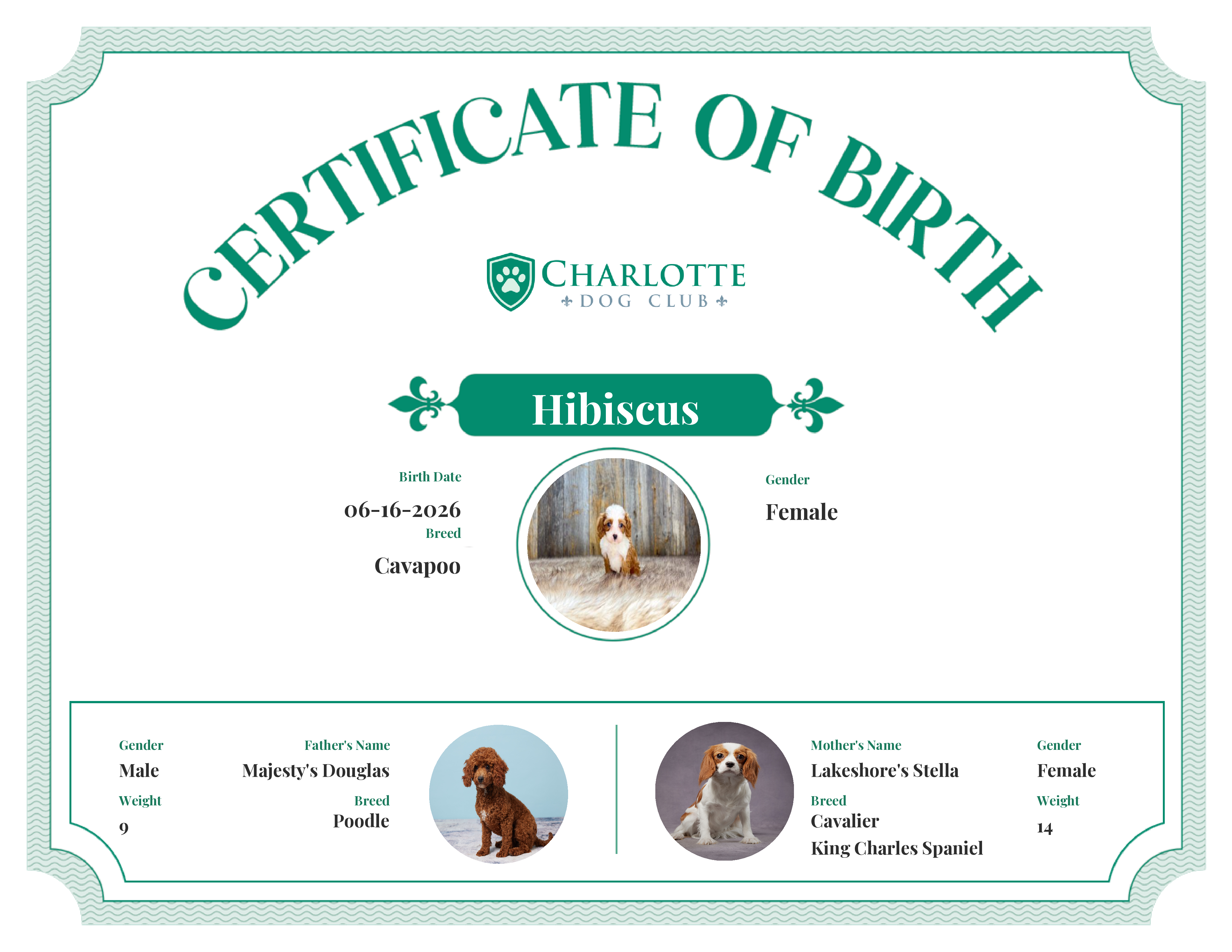 Hibiscus's Birth Certificate