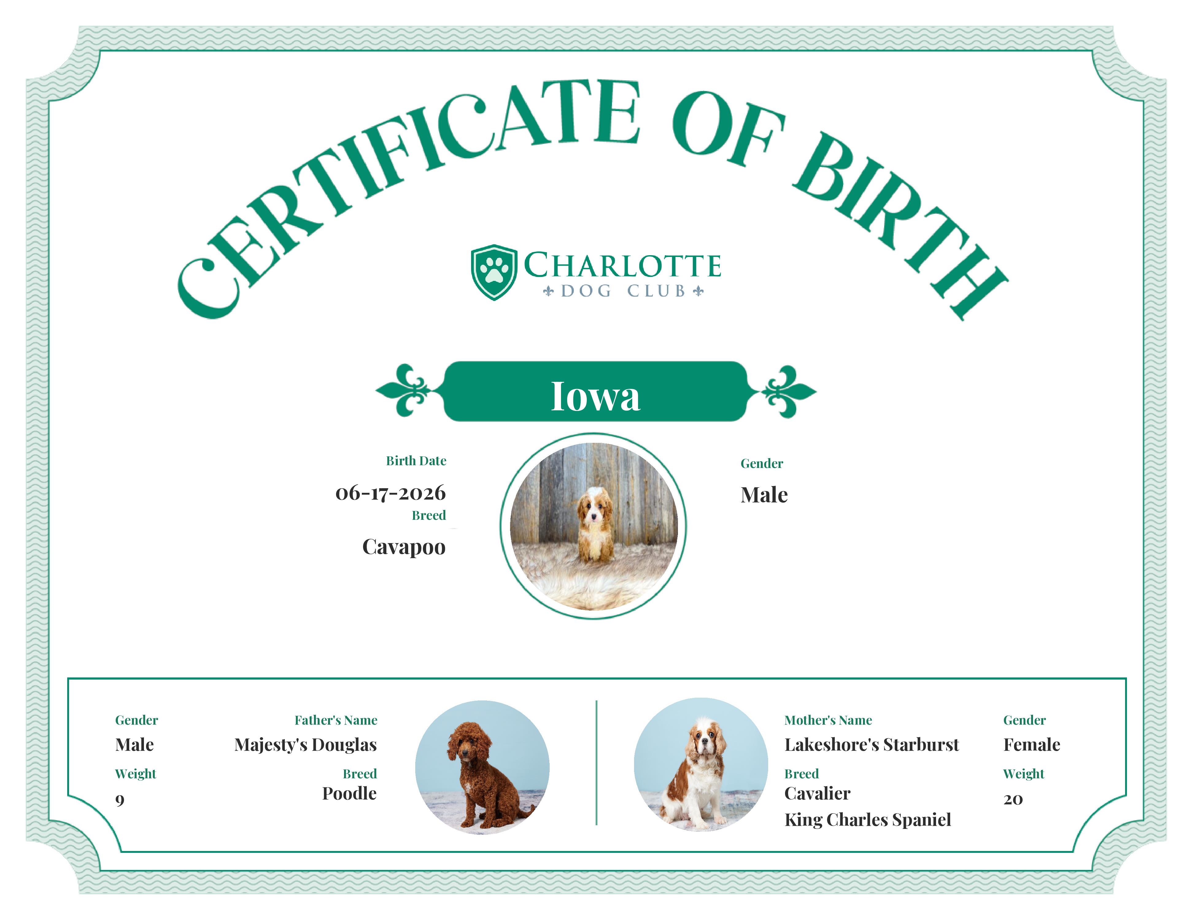 Iowa's Birth Certificate