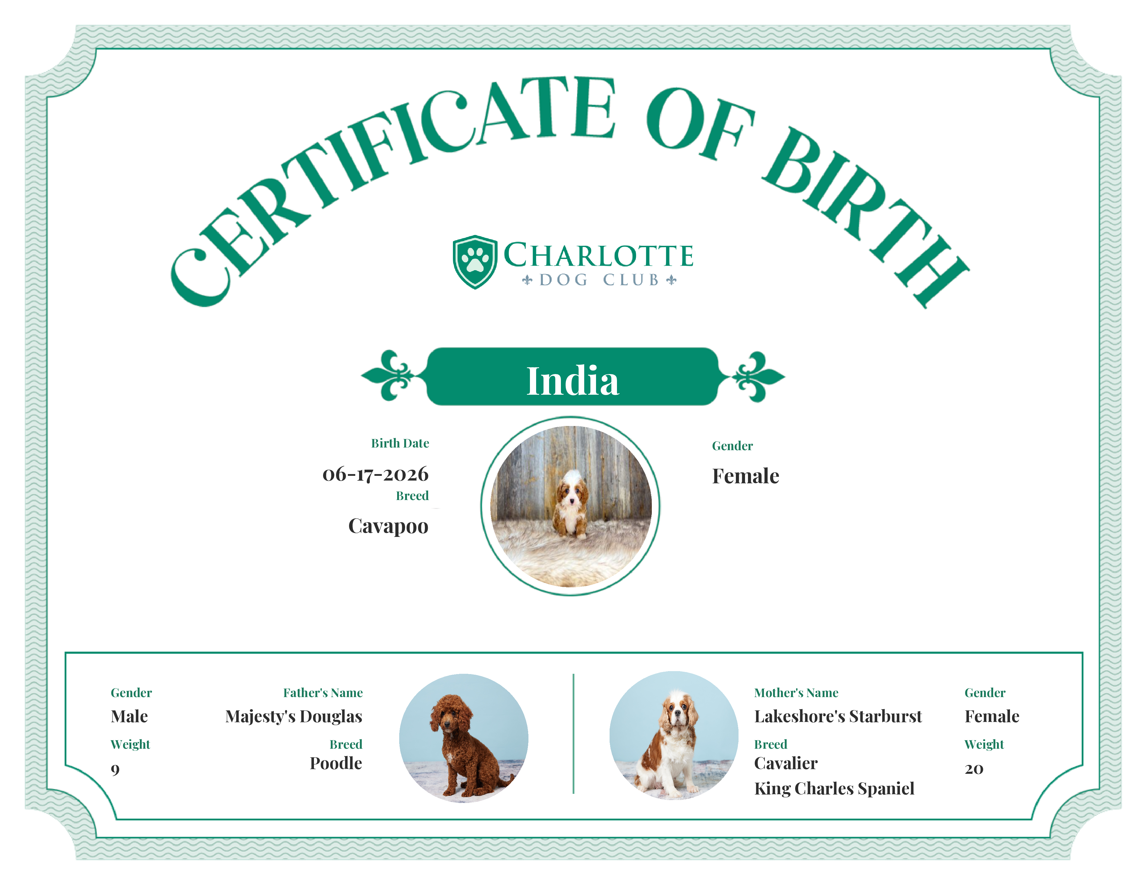 India's Birth Certificate