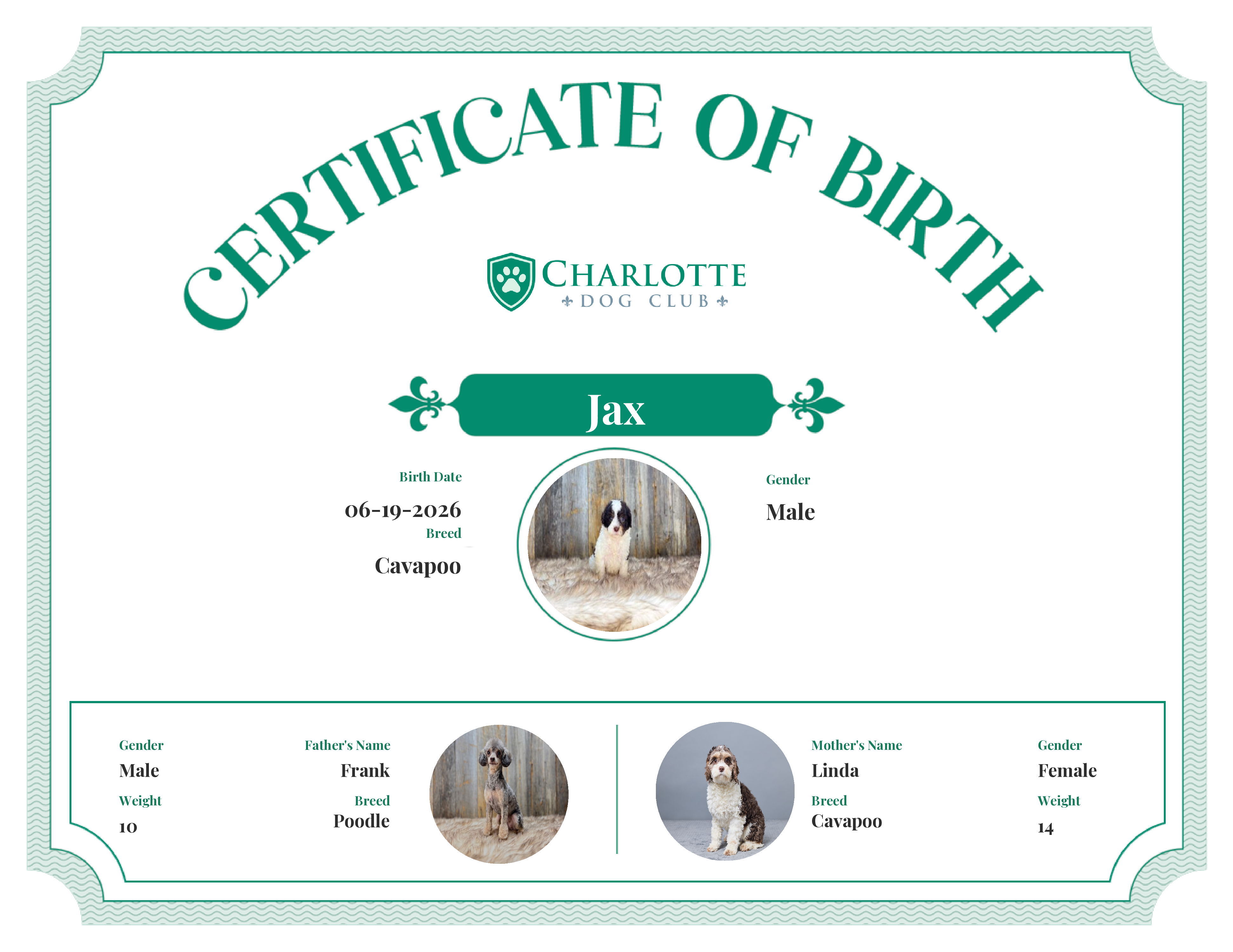 Jax's Birth Certificate