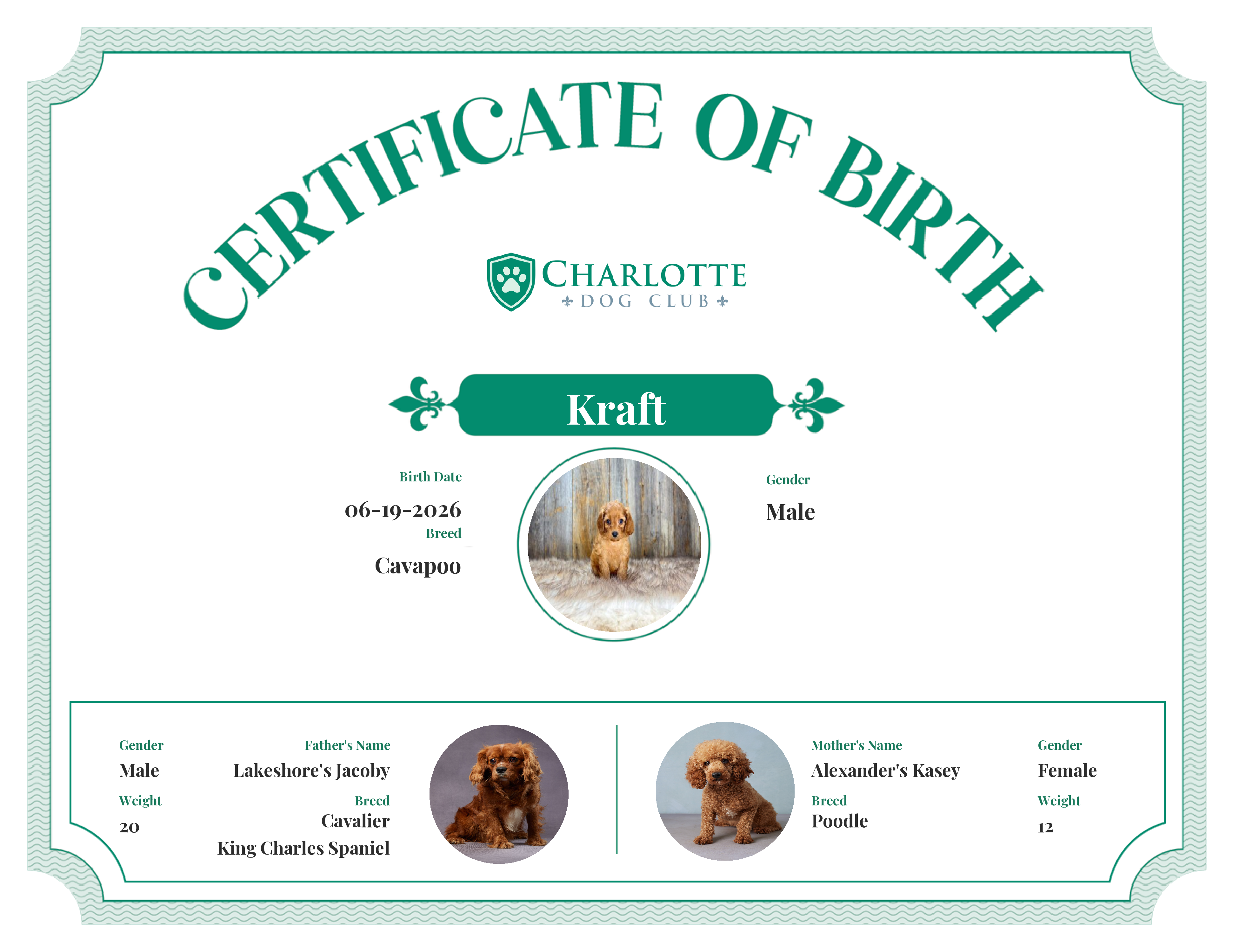 Kraft's Birth Certificate