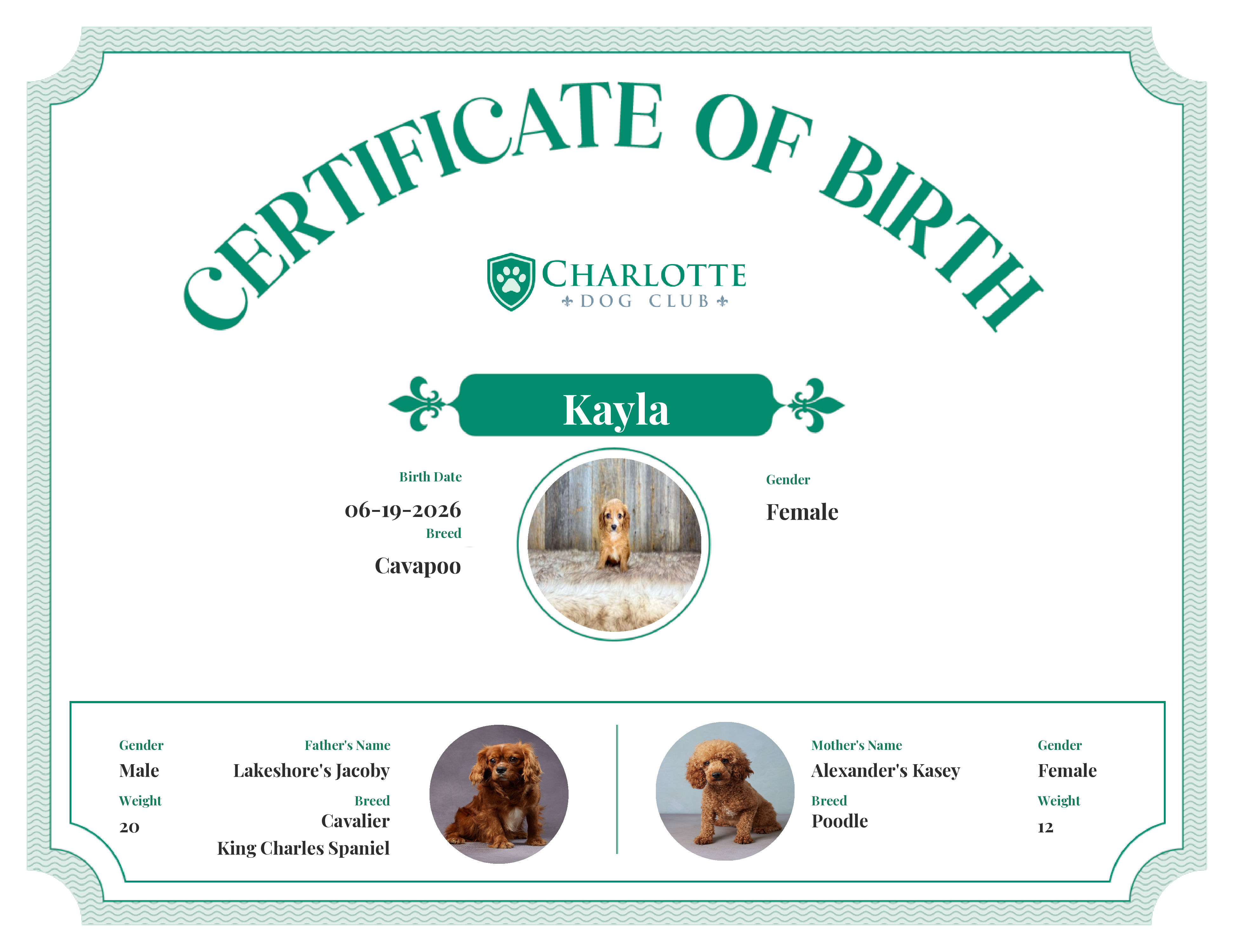 Kayla's Birth Certificate