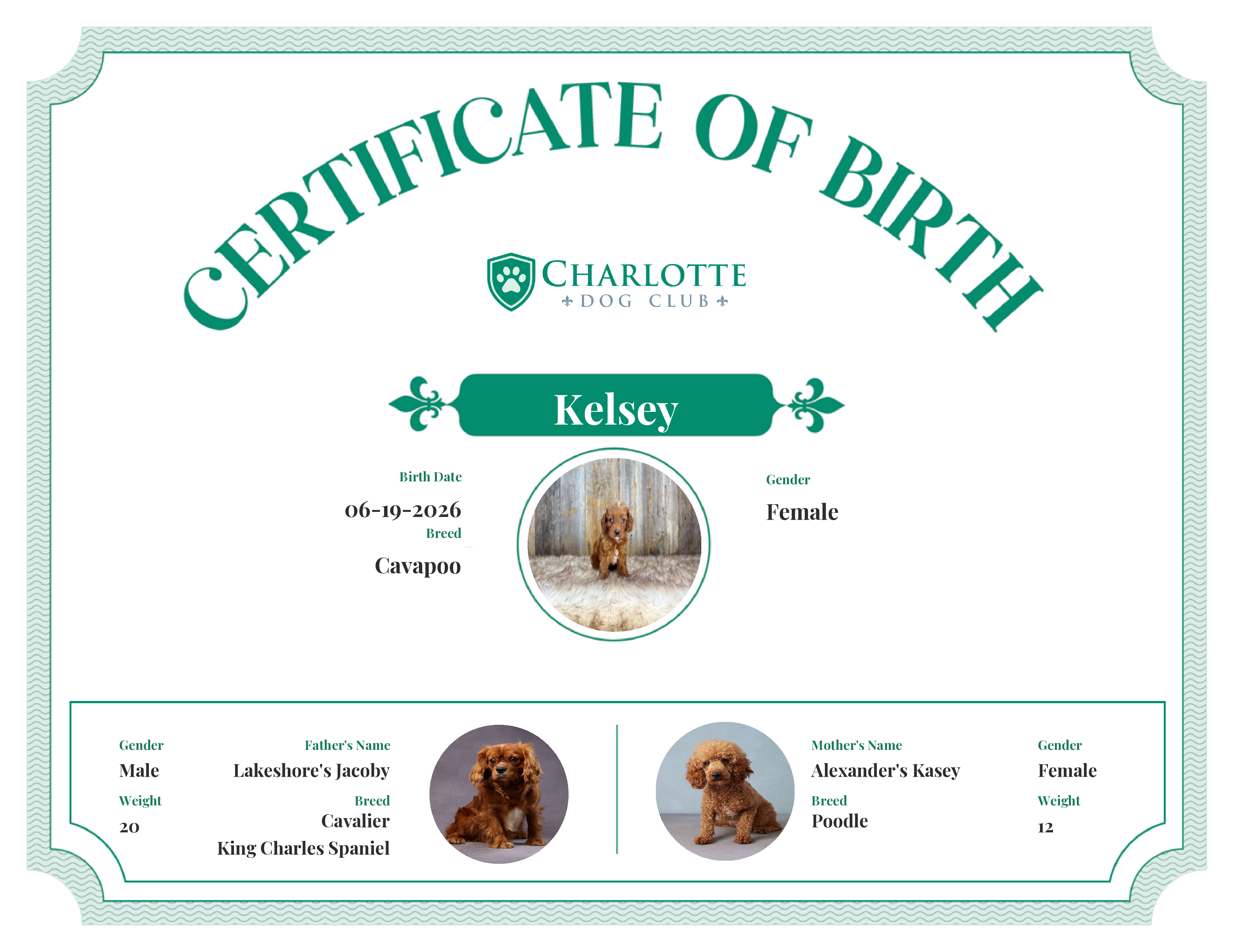 Kelsey's Birth Certificate