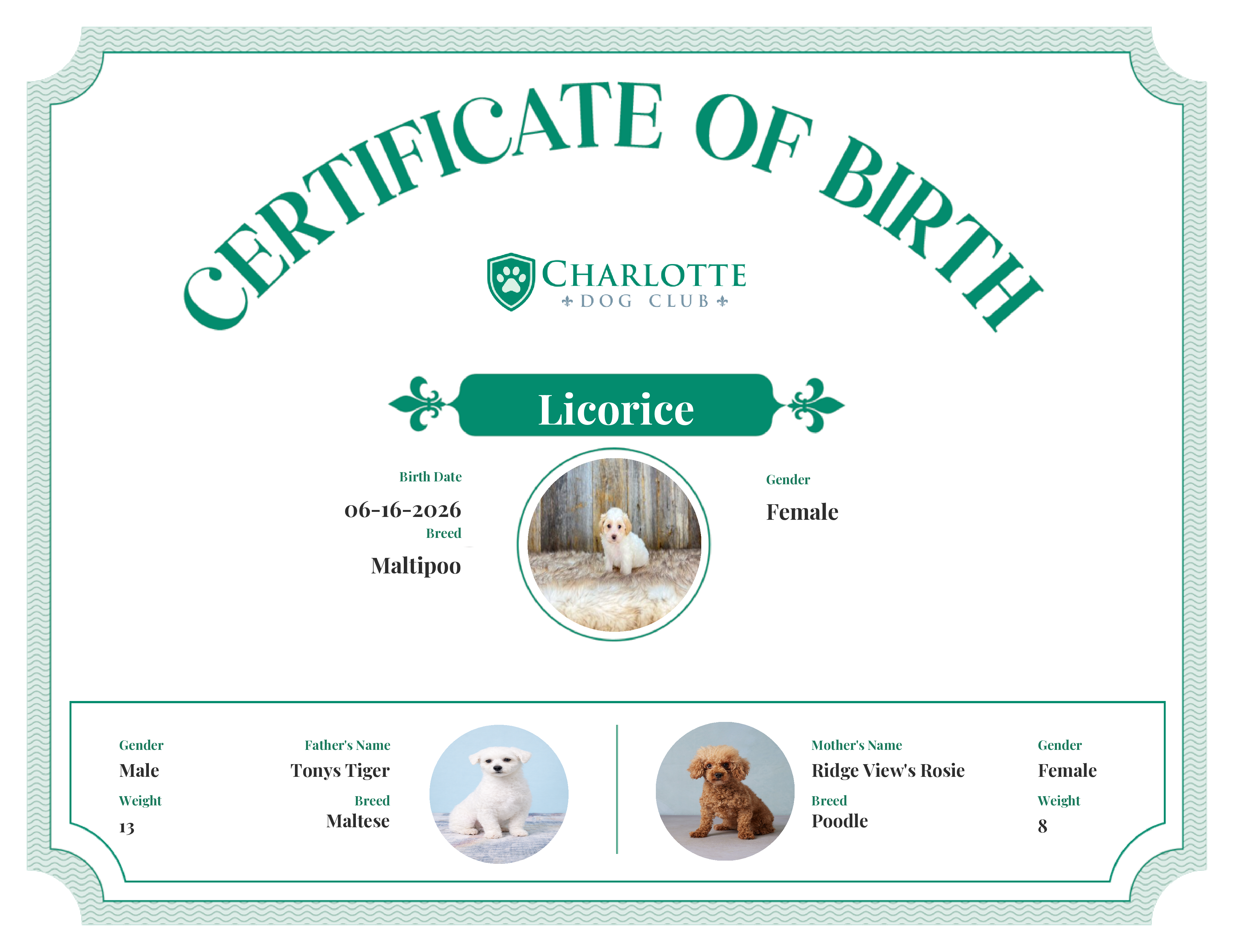 Licorice's Birth Certificate
