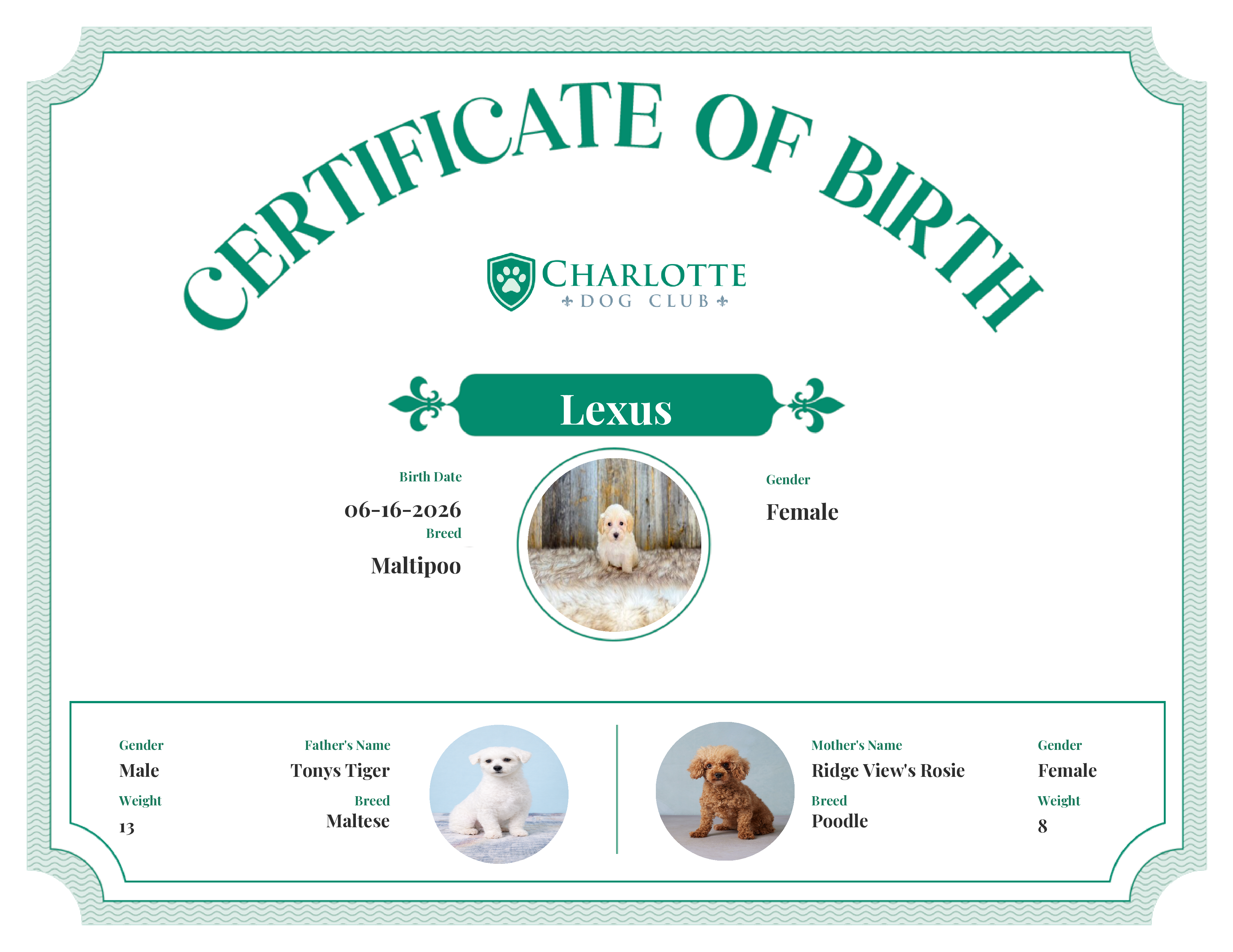 Lexus's Birth Certificate