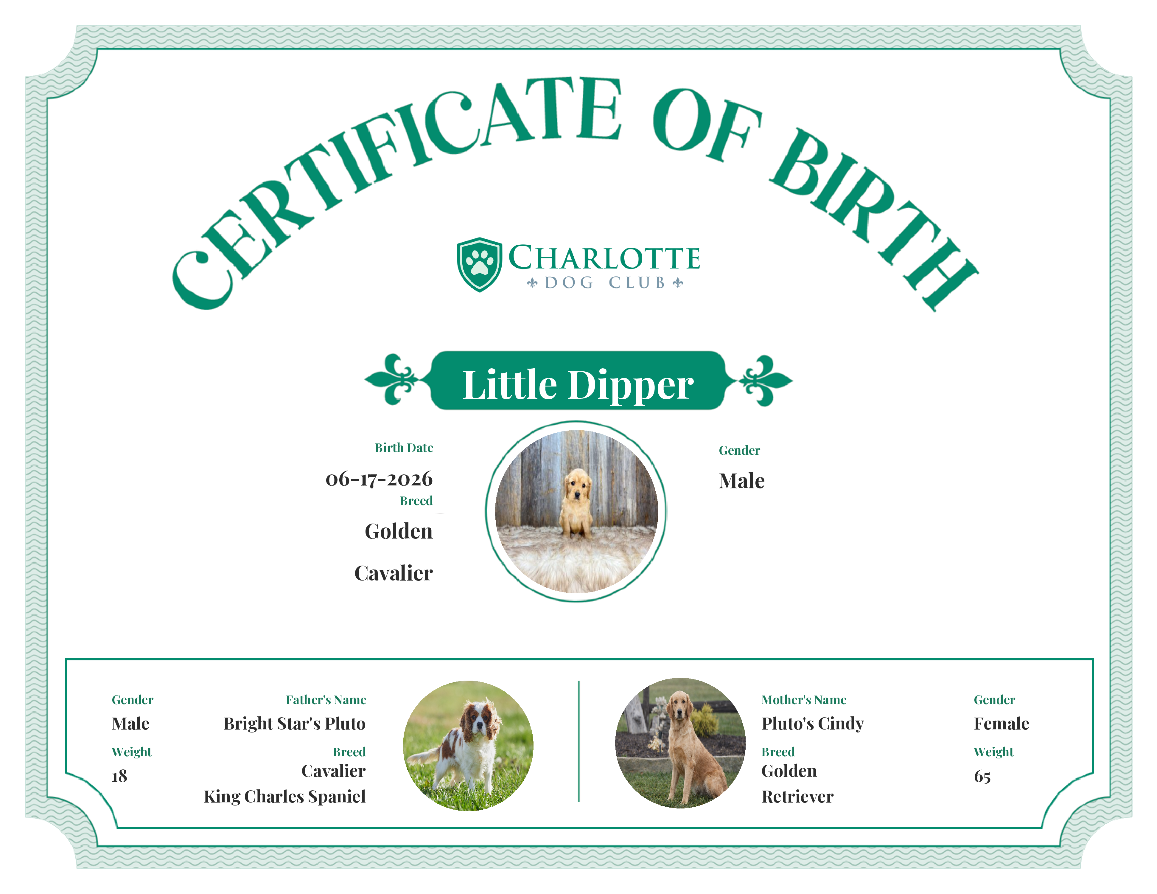 Little Dipper's Birth Certificate