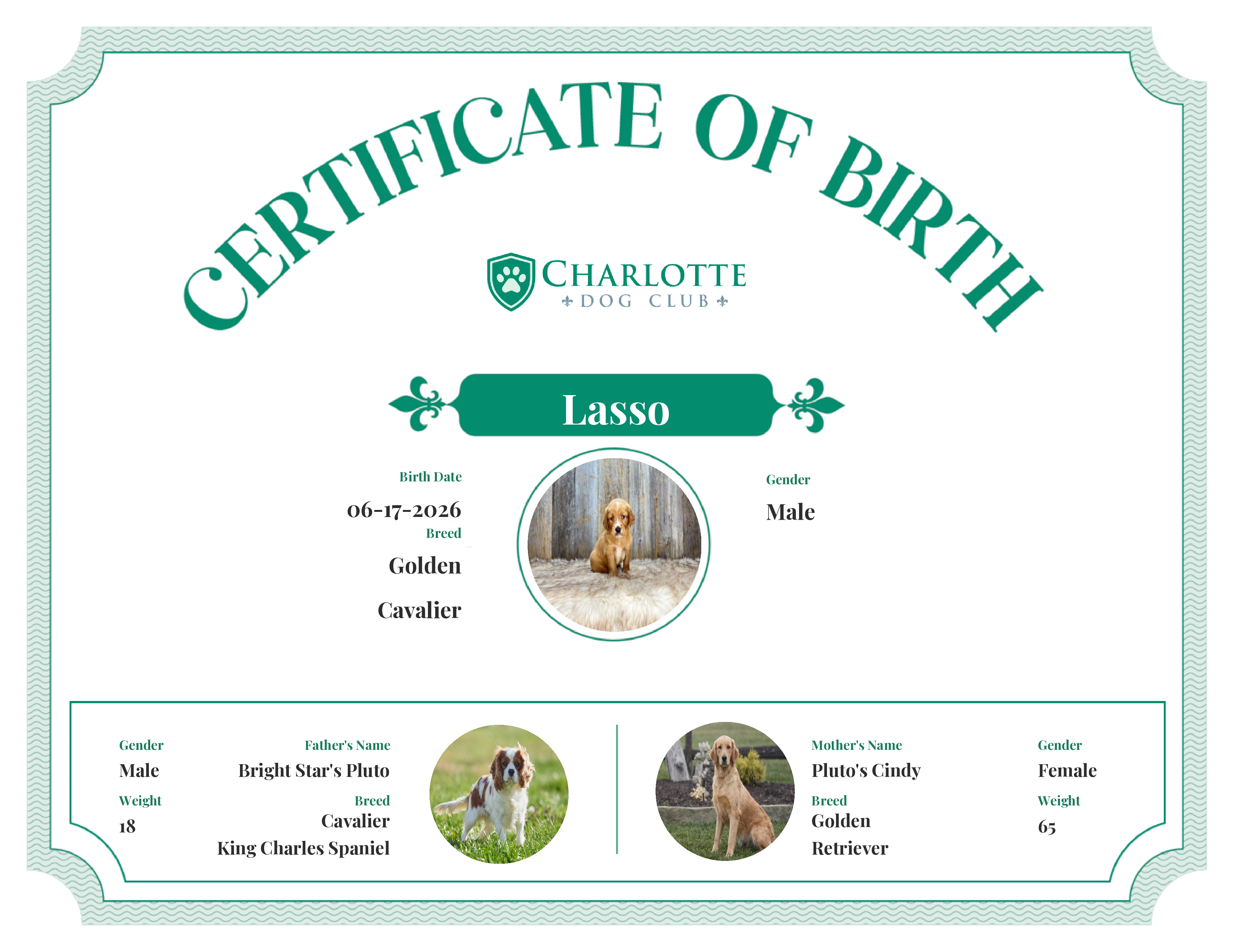 Lasso's Birth Certificate