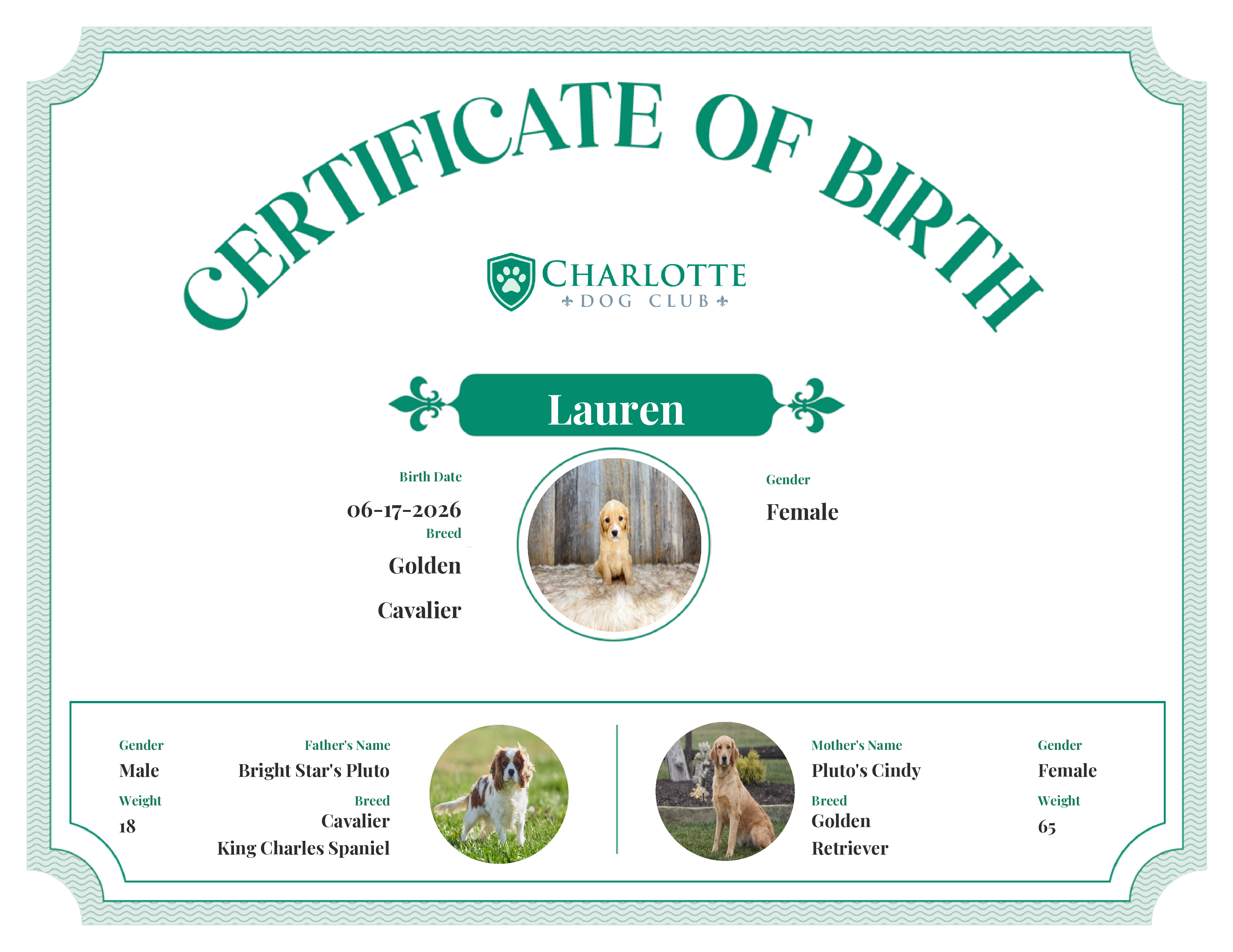 Lauren's Birth Certificate