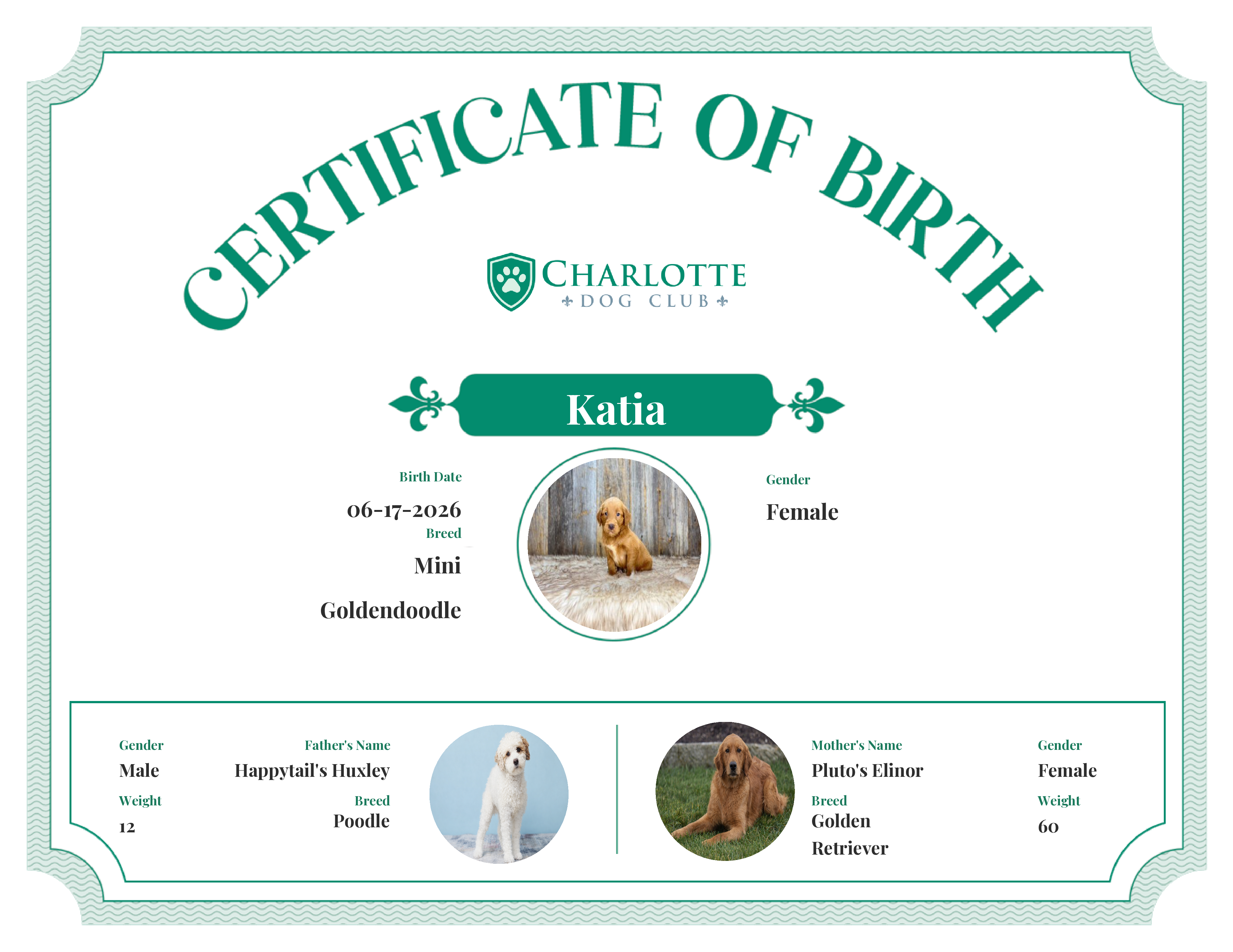 Katia's Birth Certificate
