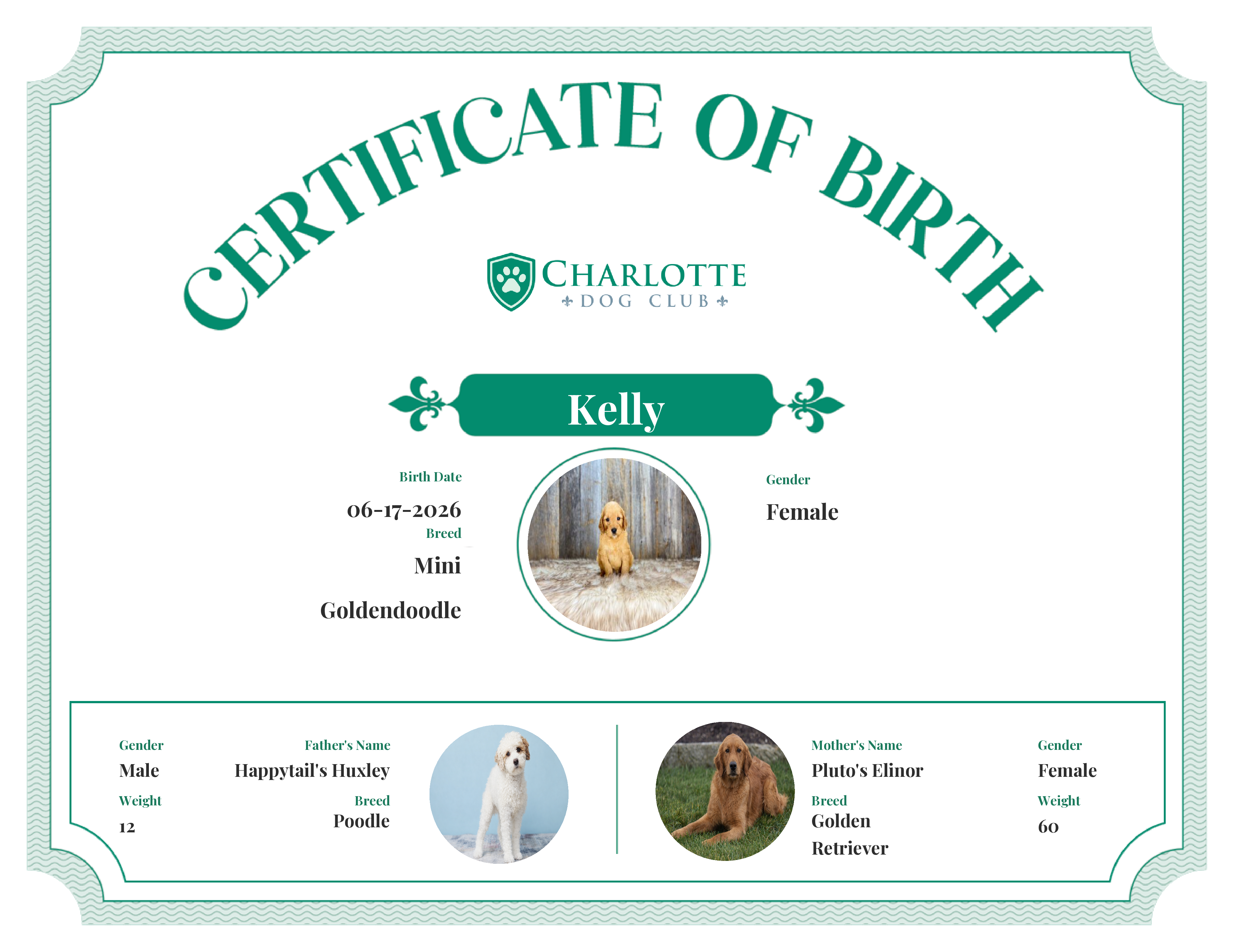Kelly's Birth Certificate