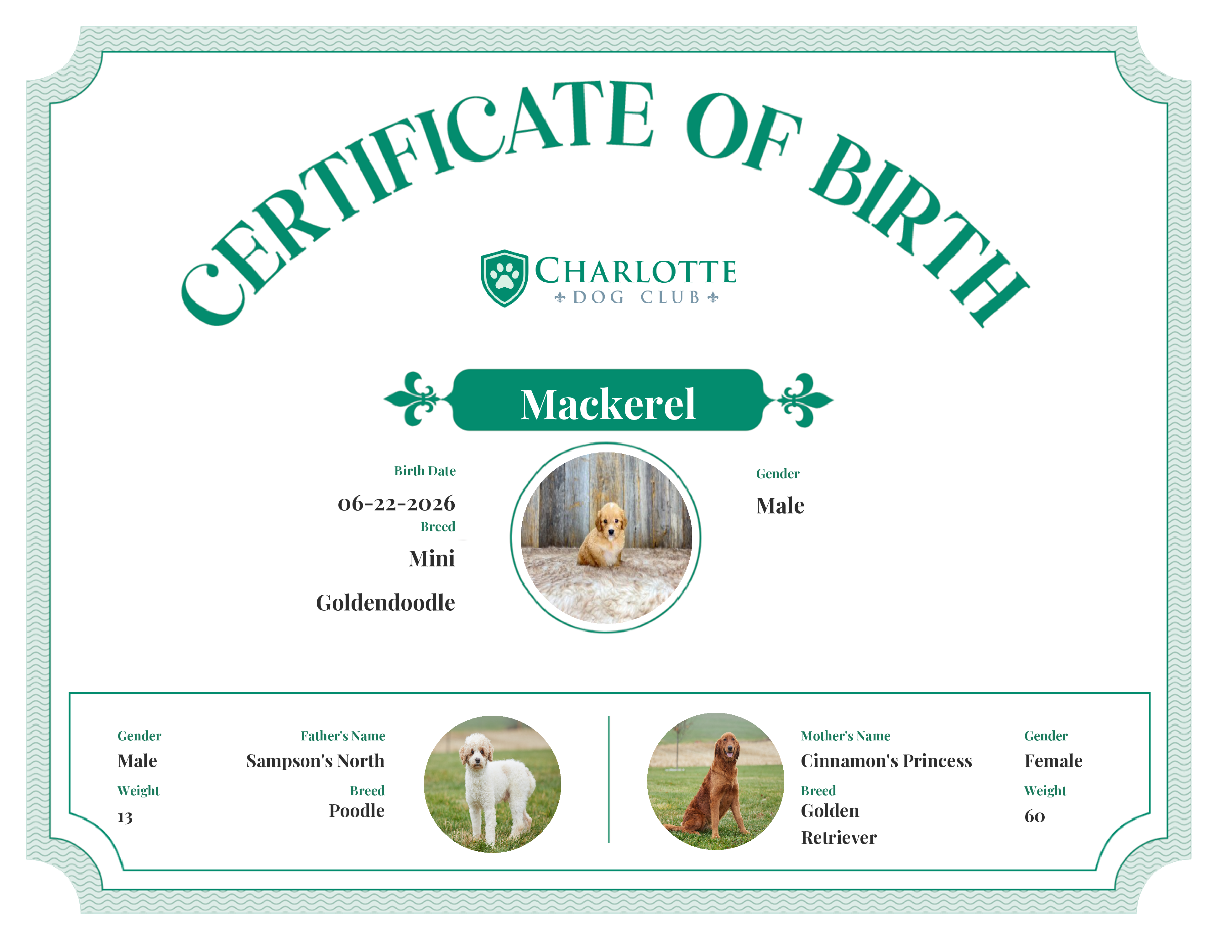 Mackerel's Birth Certificate