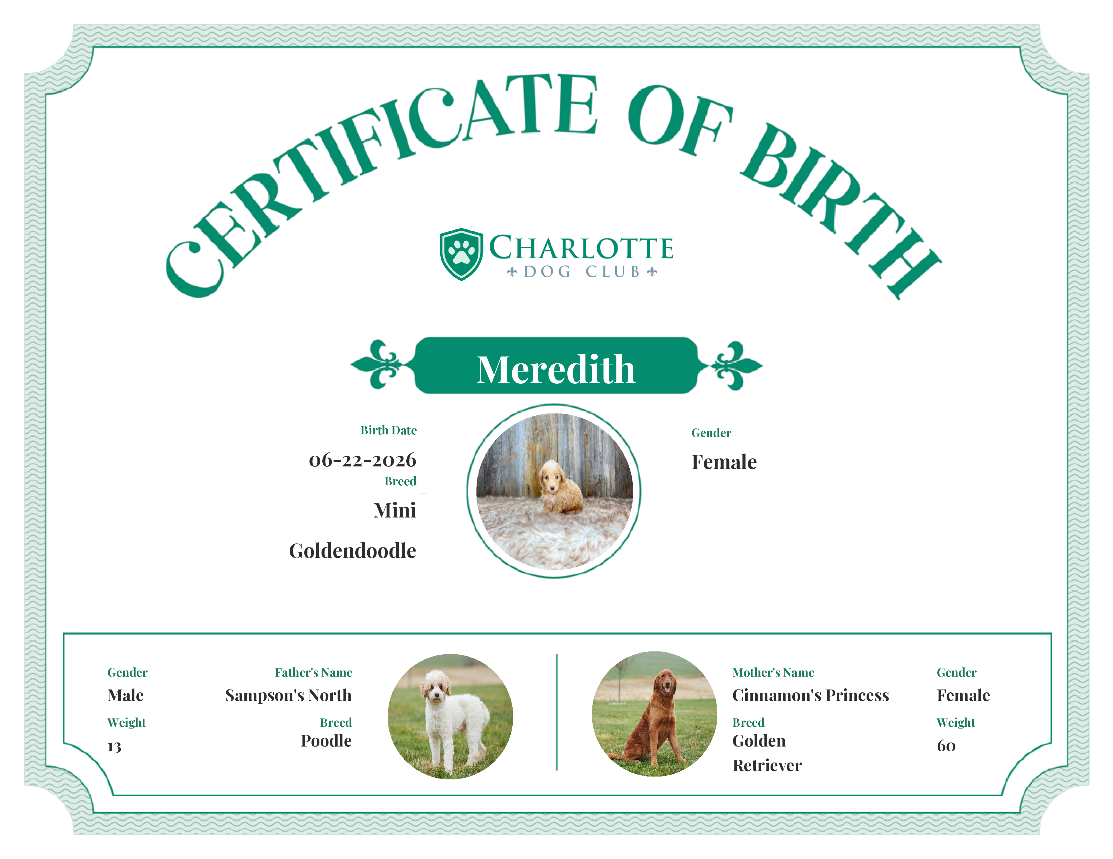 Meredith's Birth Certificate