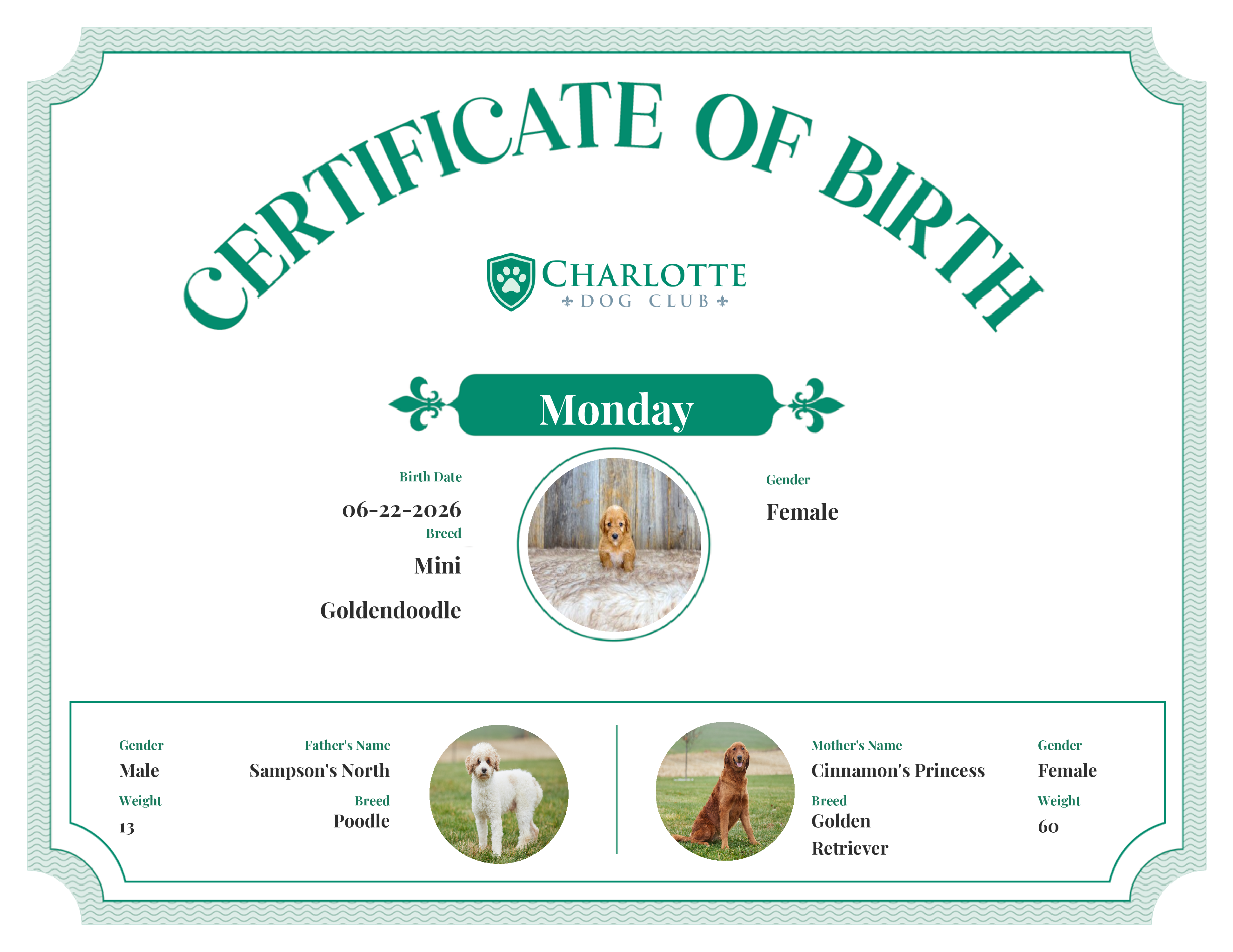 Monday's Birth Certificate