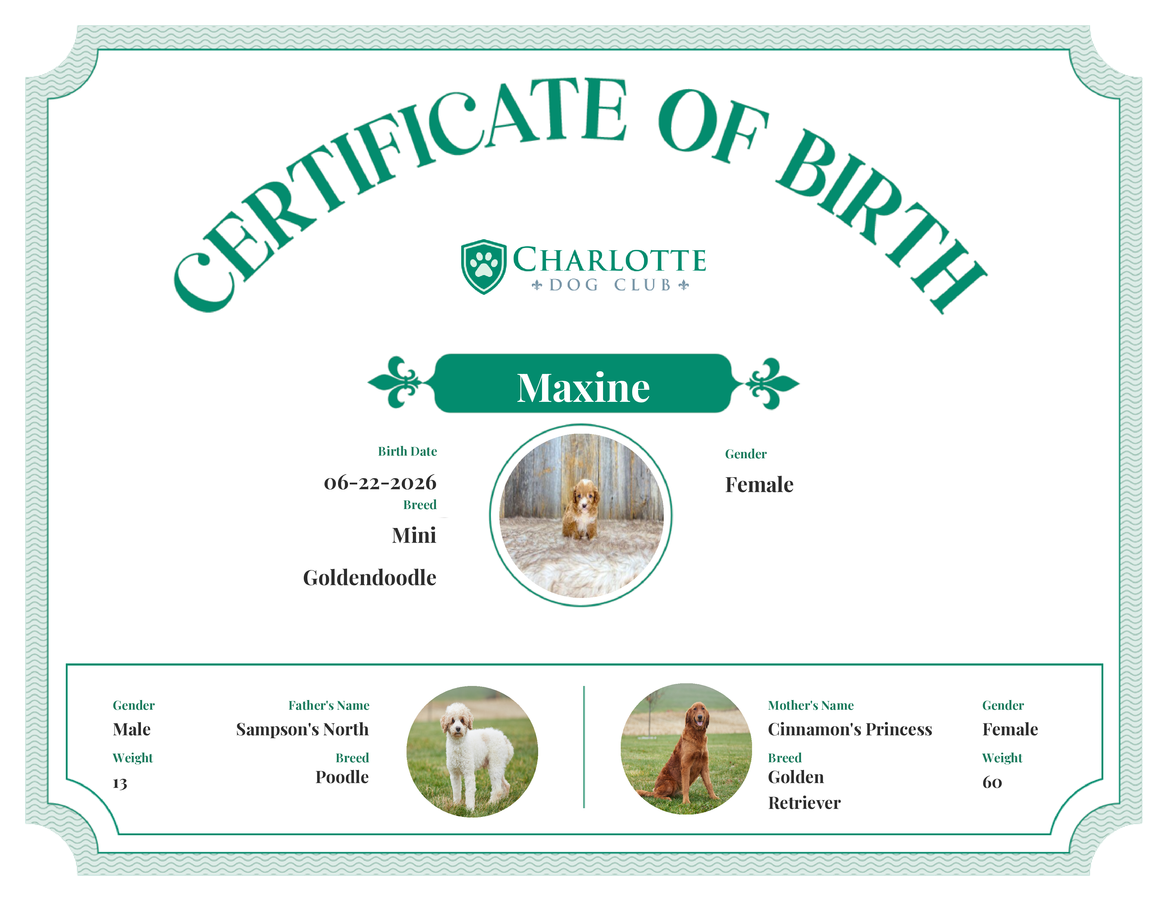 Maxine's Birth Certificate