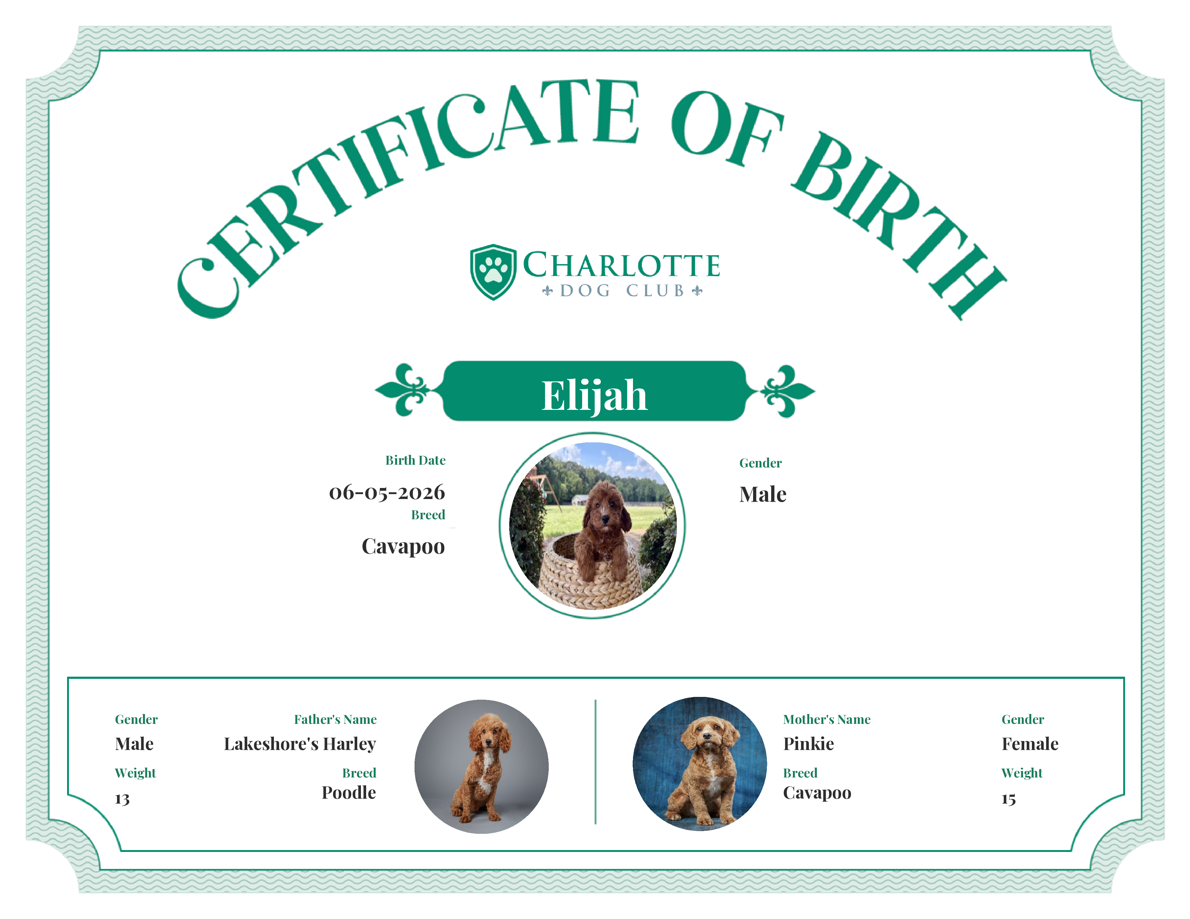 Elijah's Birth Certificate