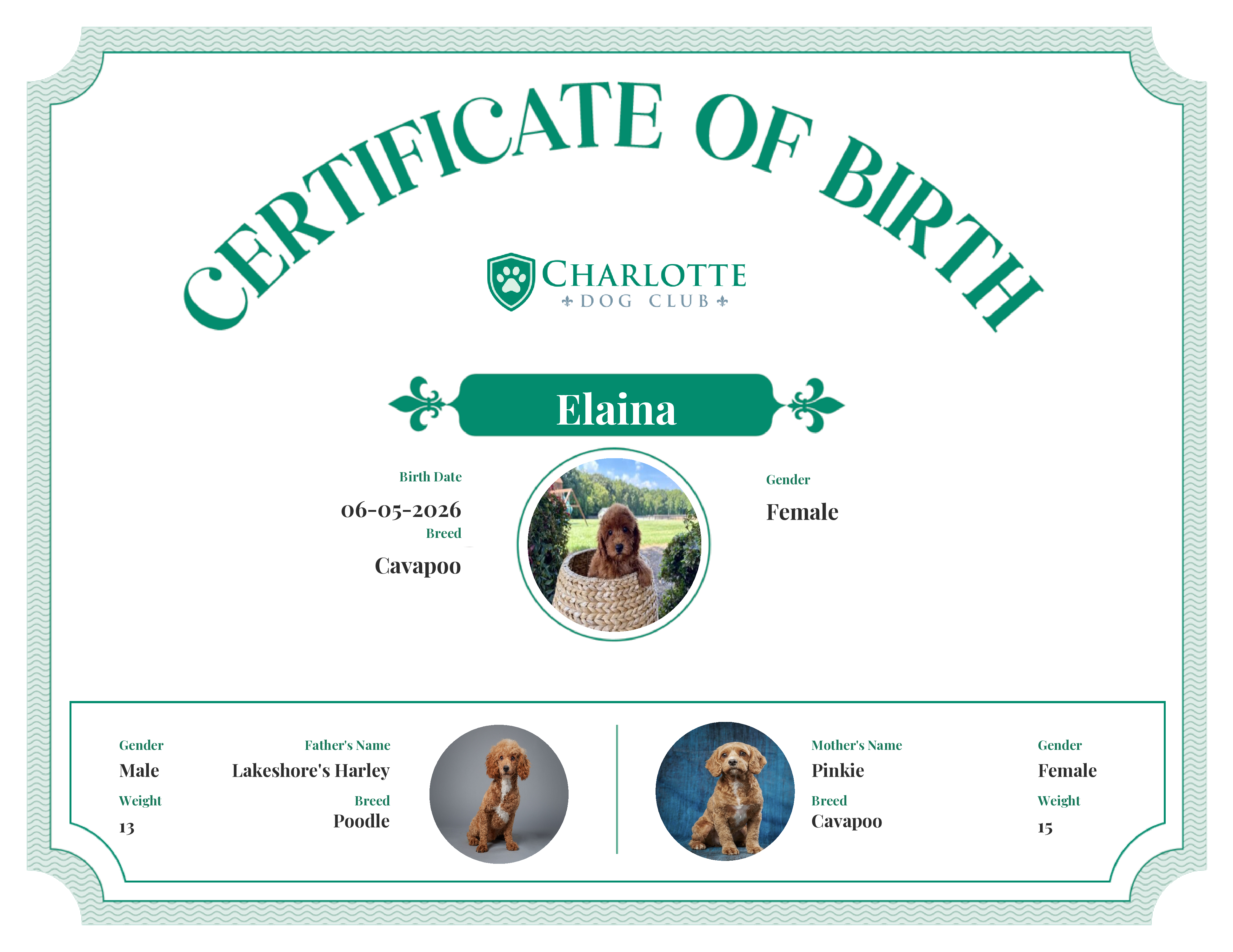 Elaina's Birth Certificate