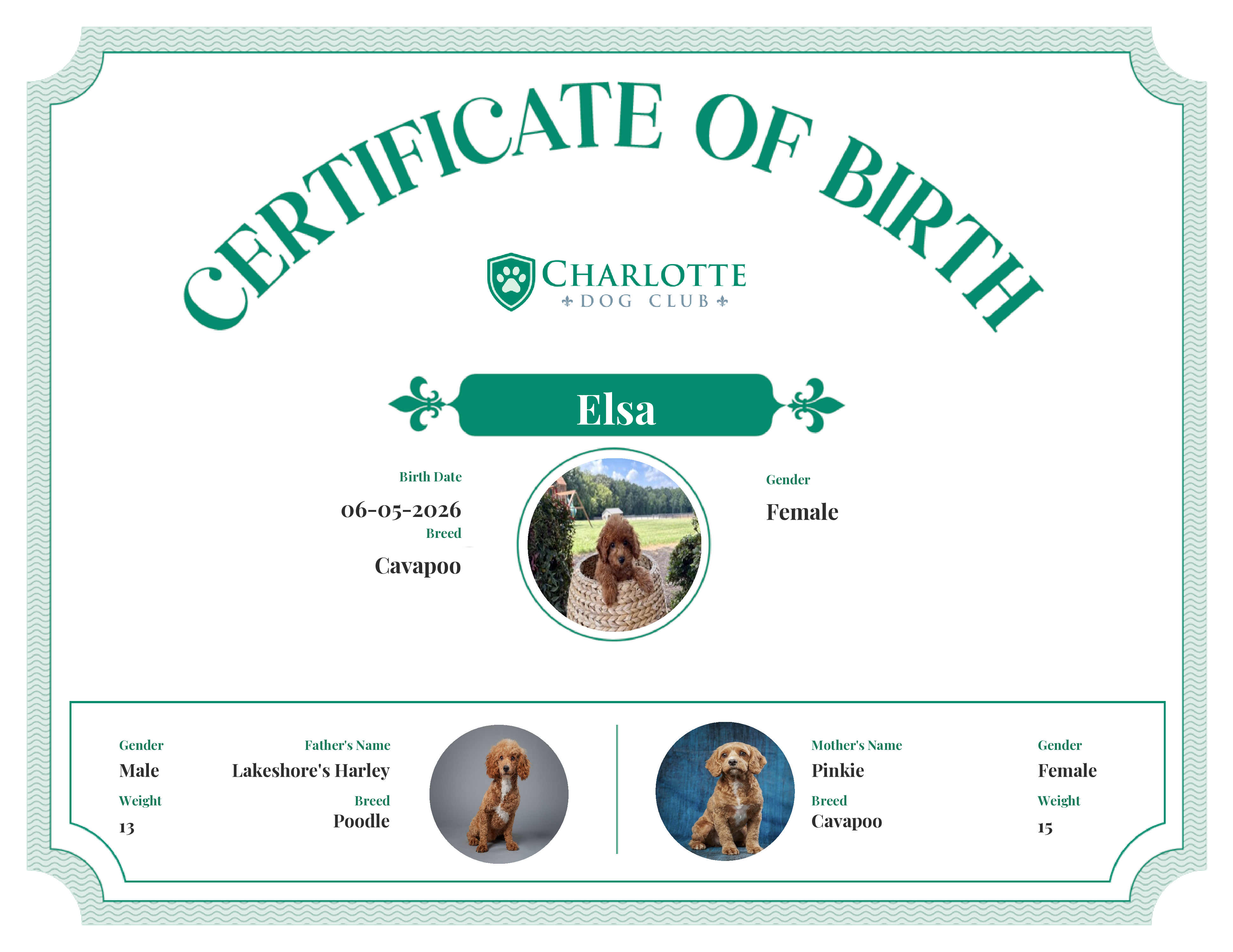 Elsa's Birth Certificate