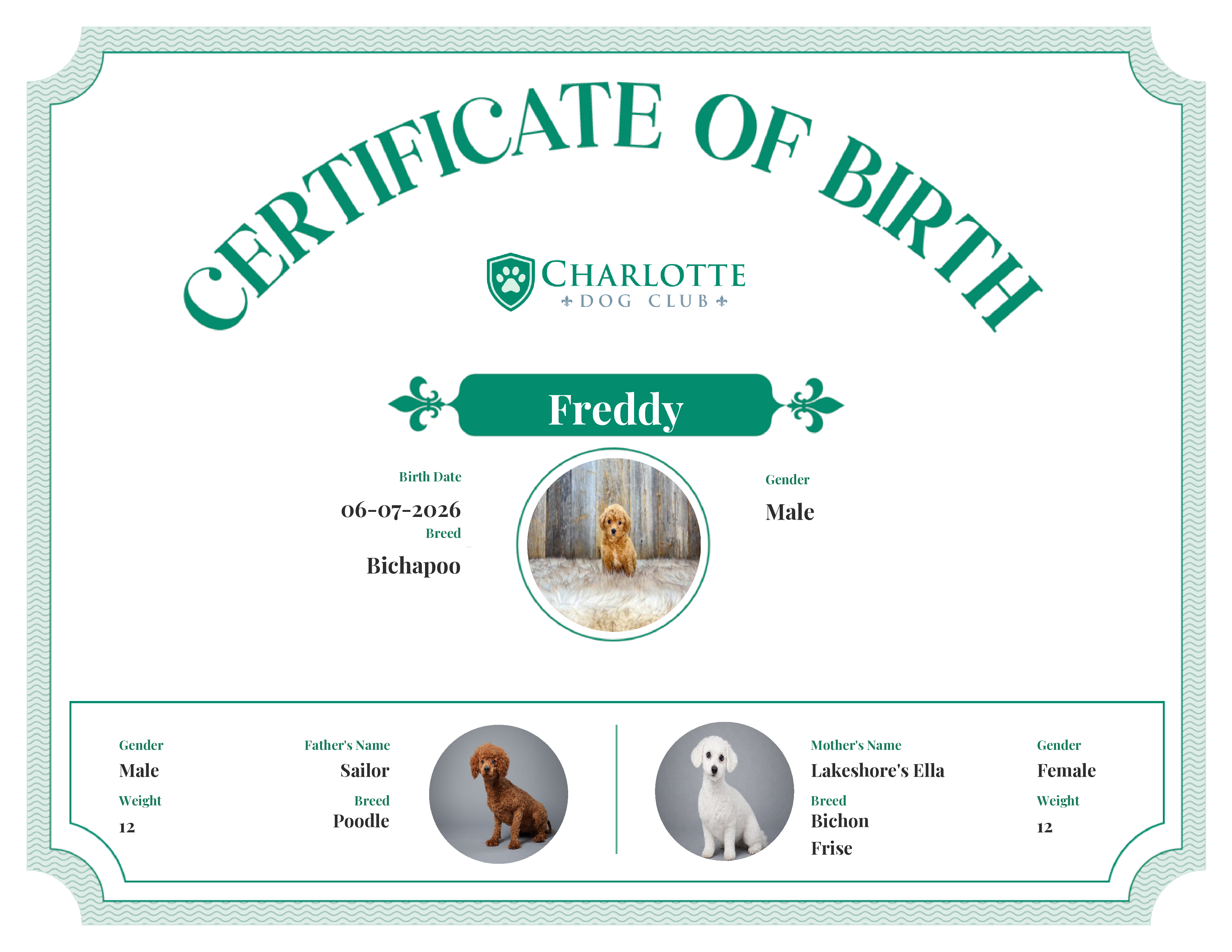 Freddy's Birth Certificate