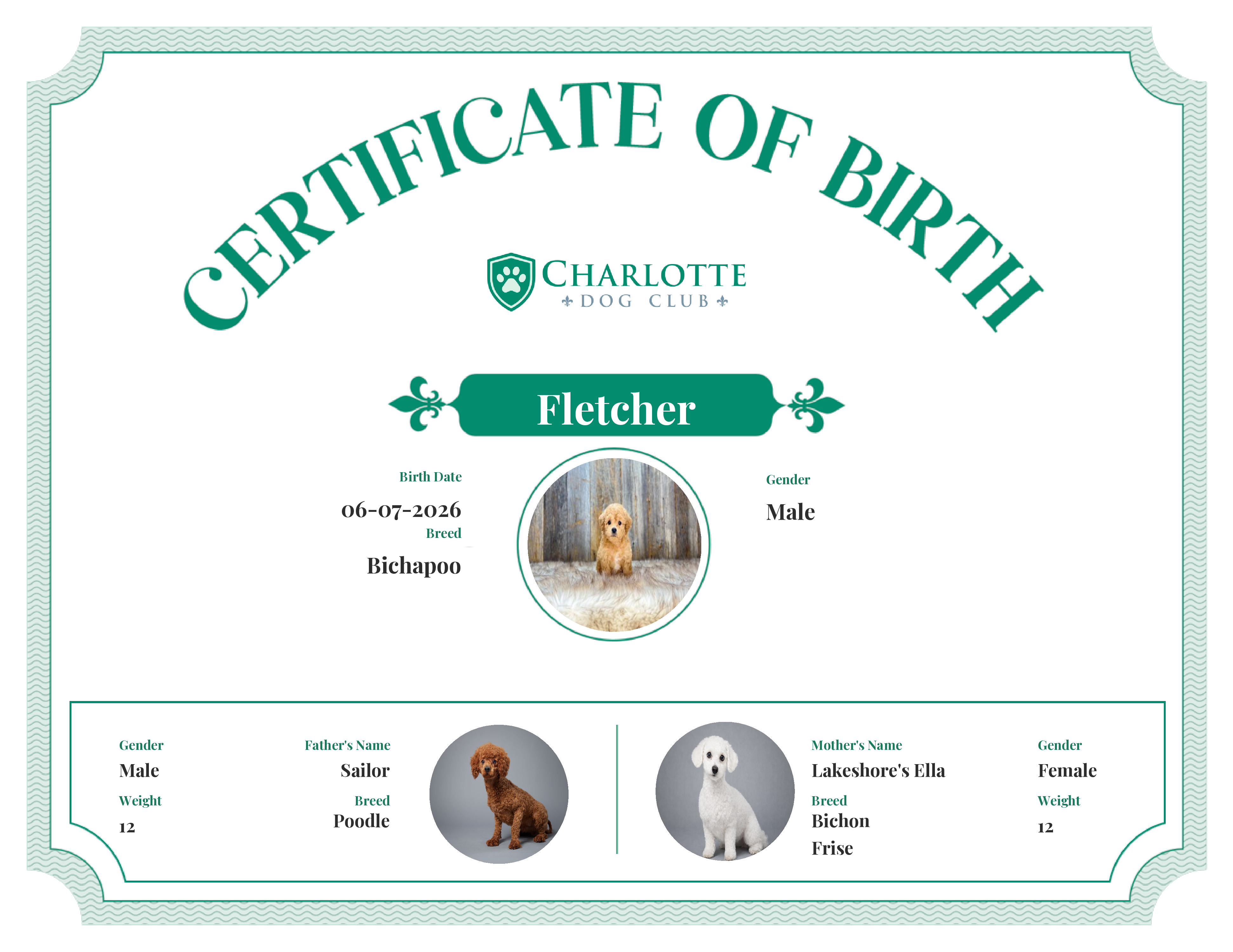 Fletcher's Birth Certificate