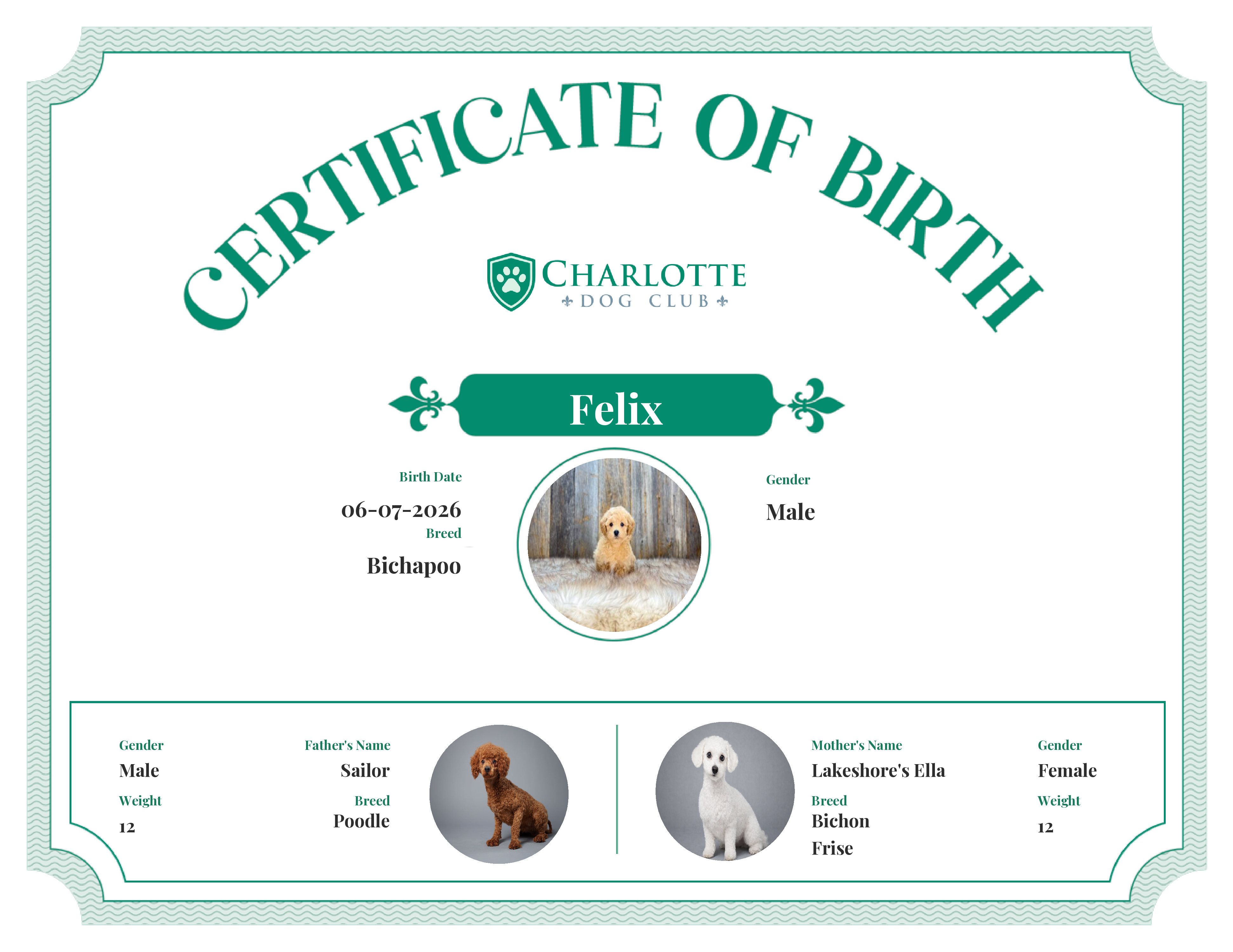 Felix's Birth Certificate