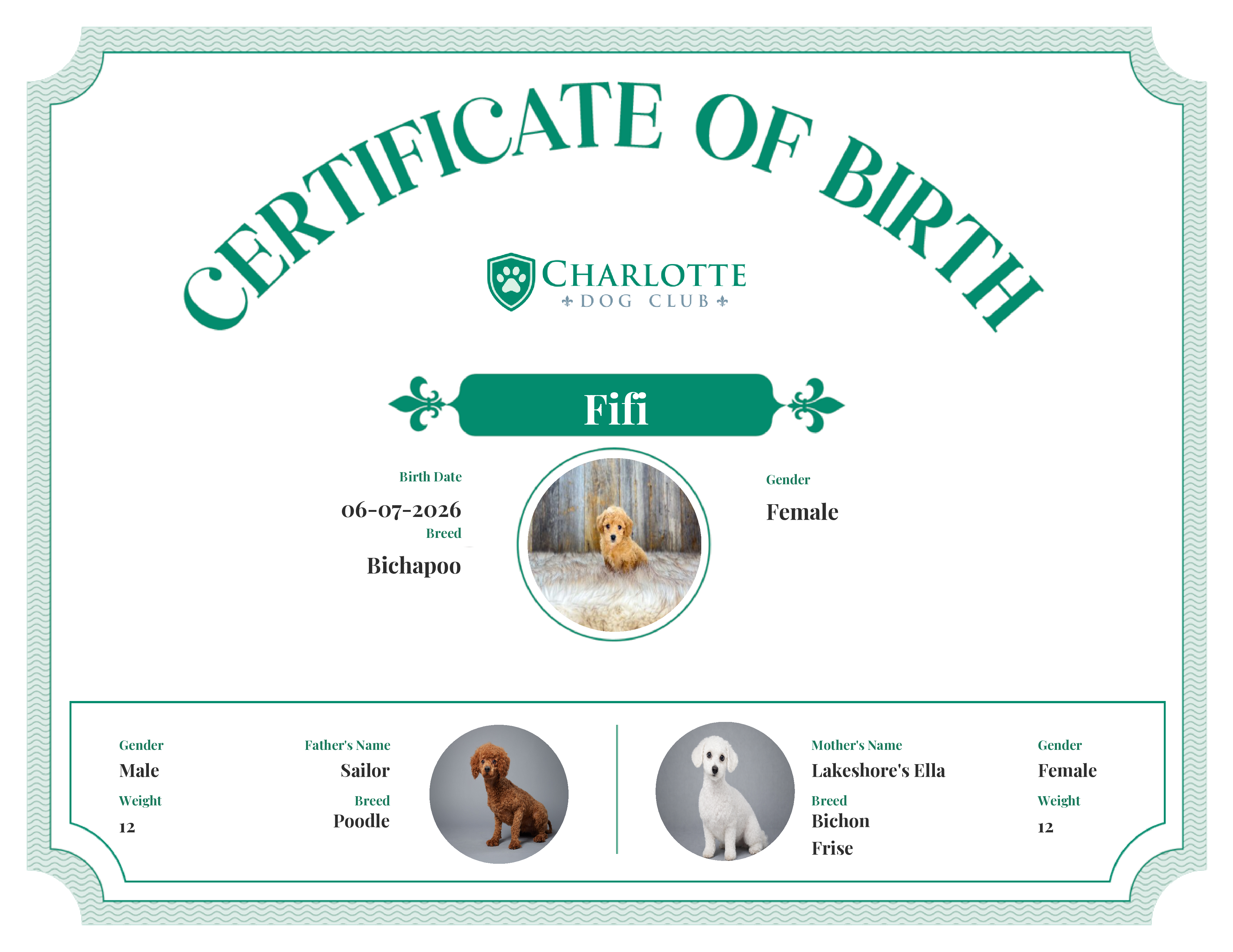 Fifi's Birth Certificate
