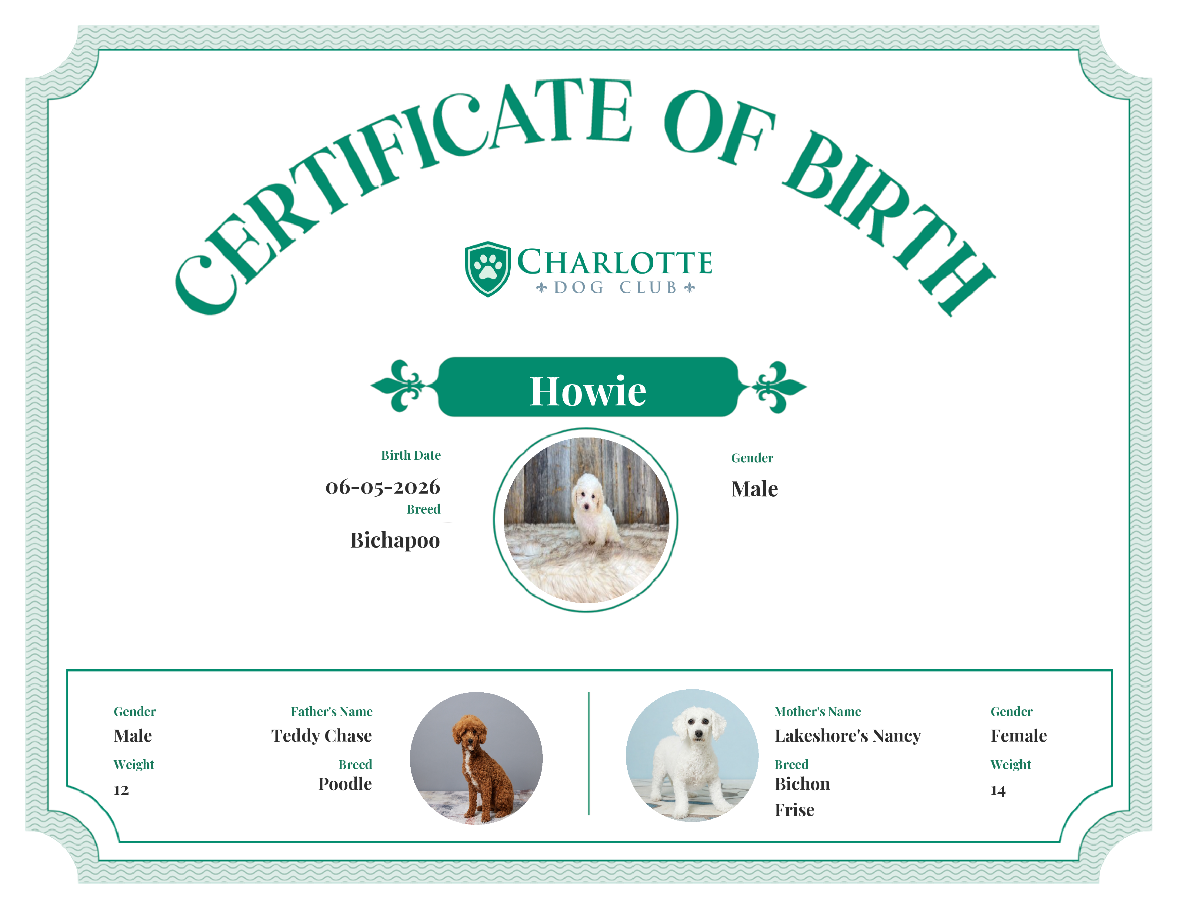 Howie's Birth Certificate