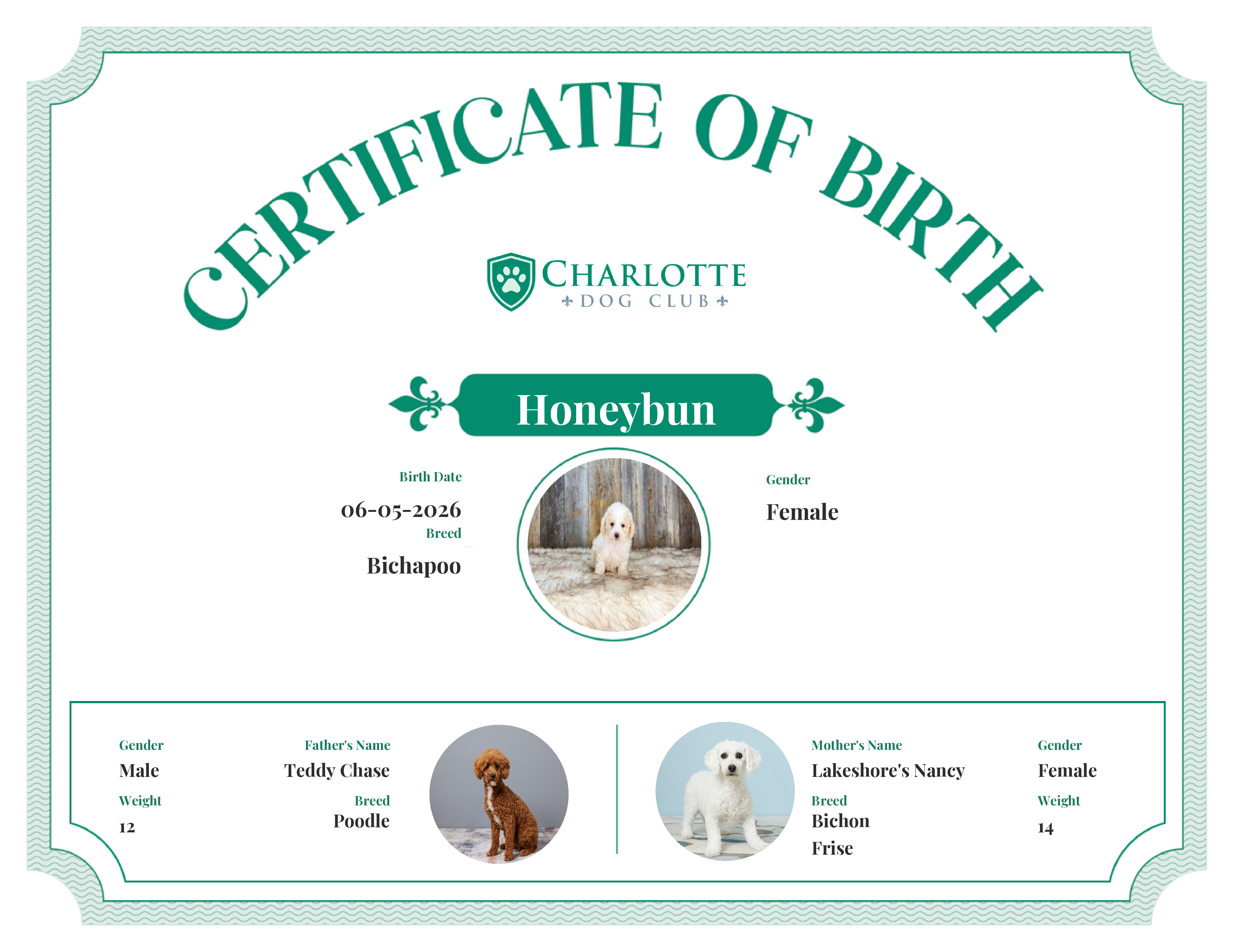 Honeybun's Birth Certificate