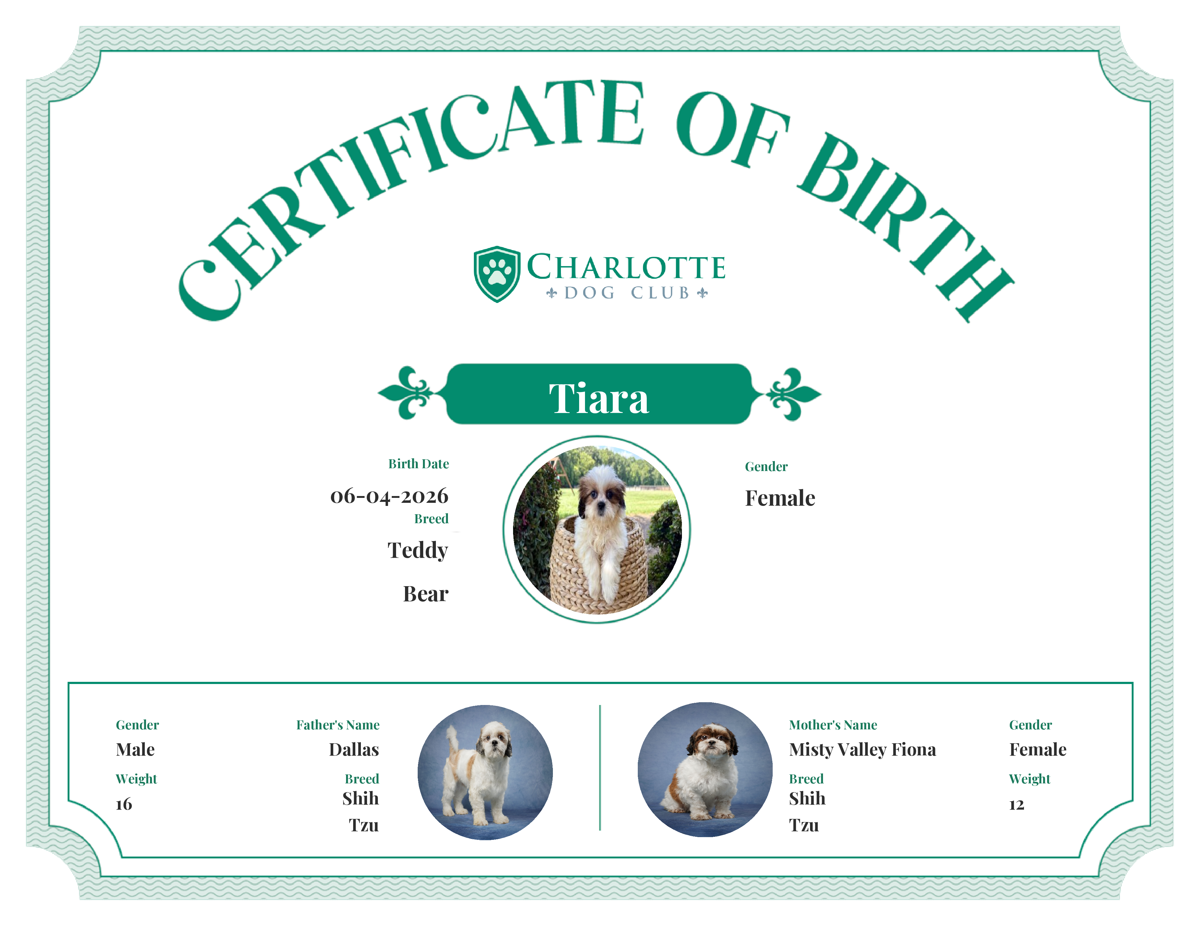 Tiara's Birth Certificate