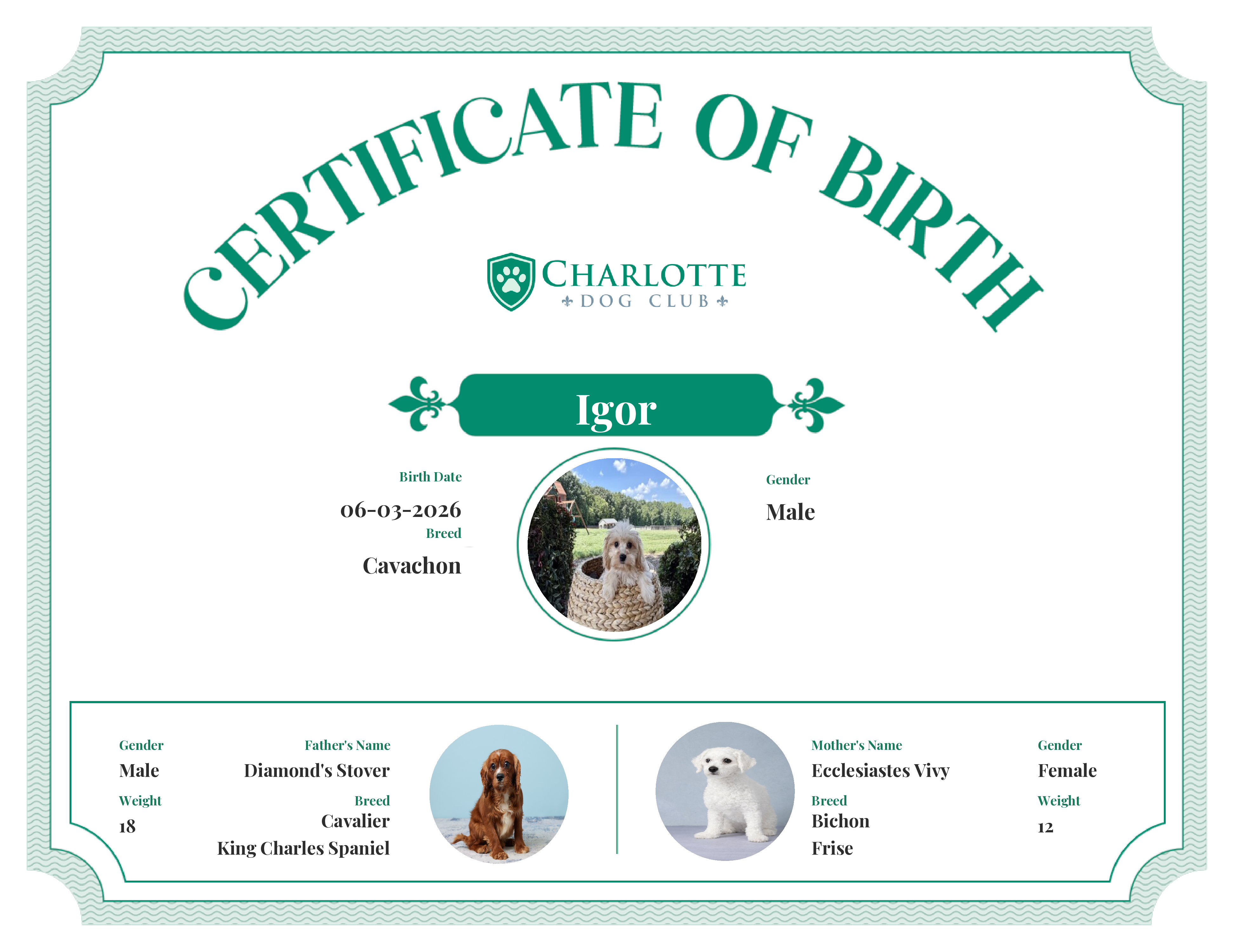 Igor's Birth Certificate