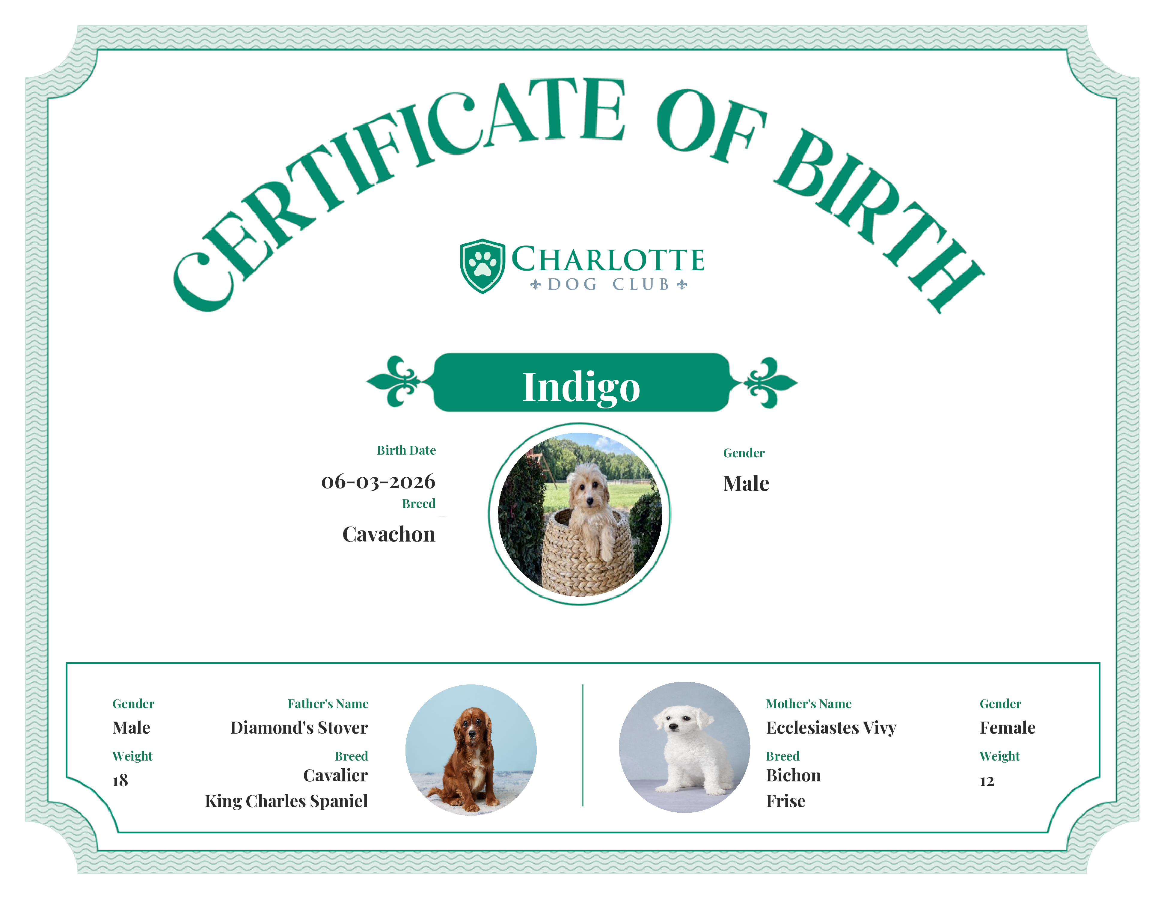 Indigo's Birth Certificate