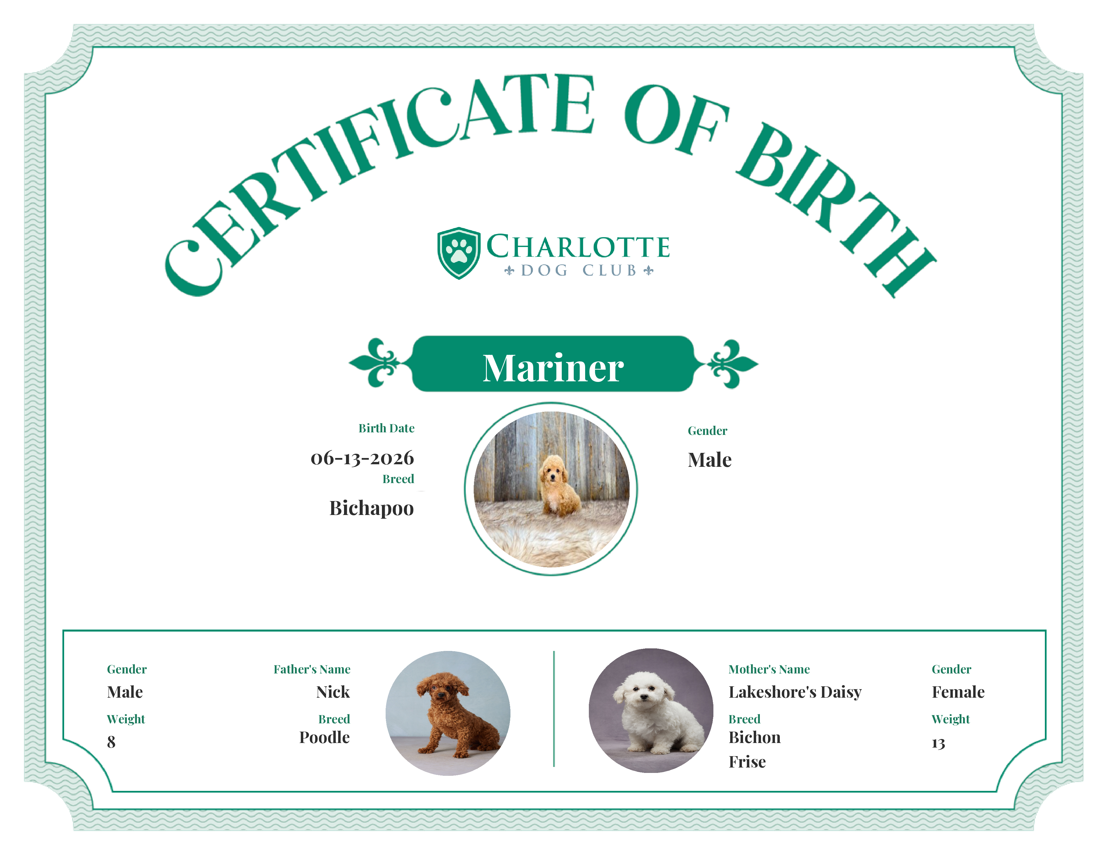 Mariner's Birth Certificate