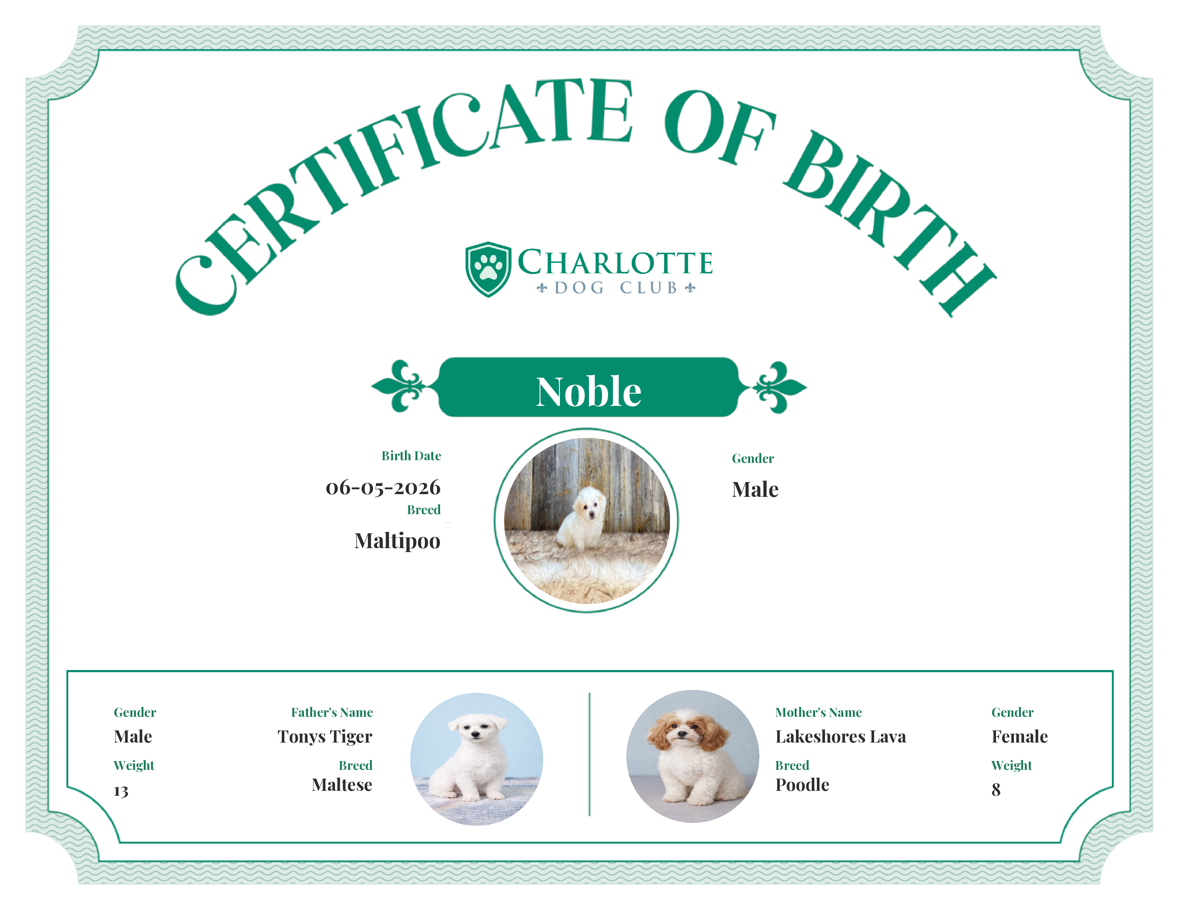 Noble's Birth Certificate