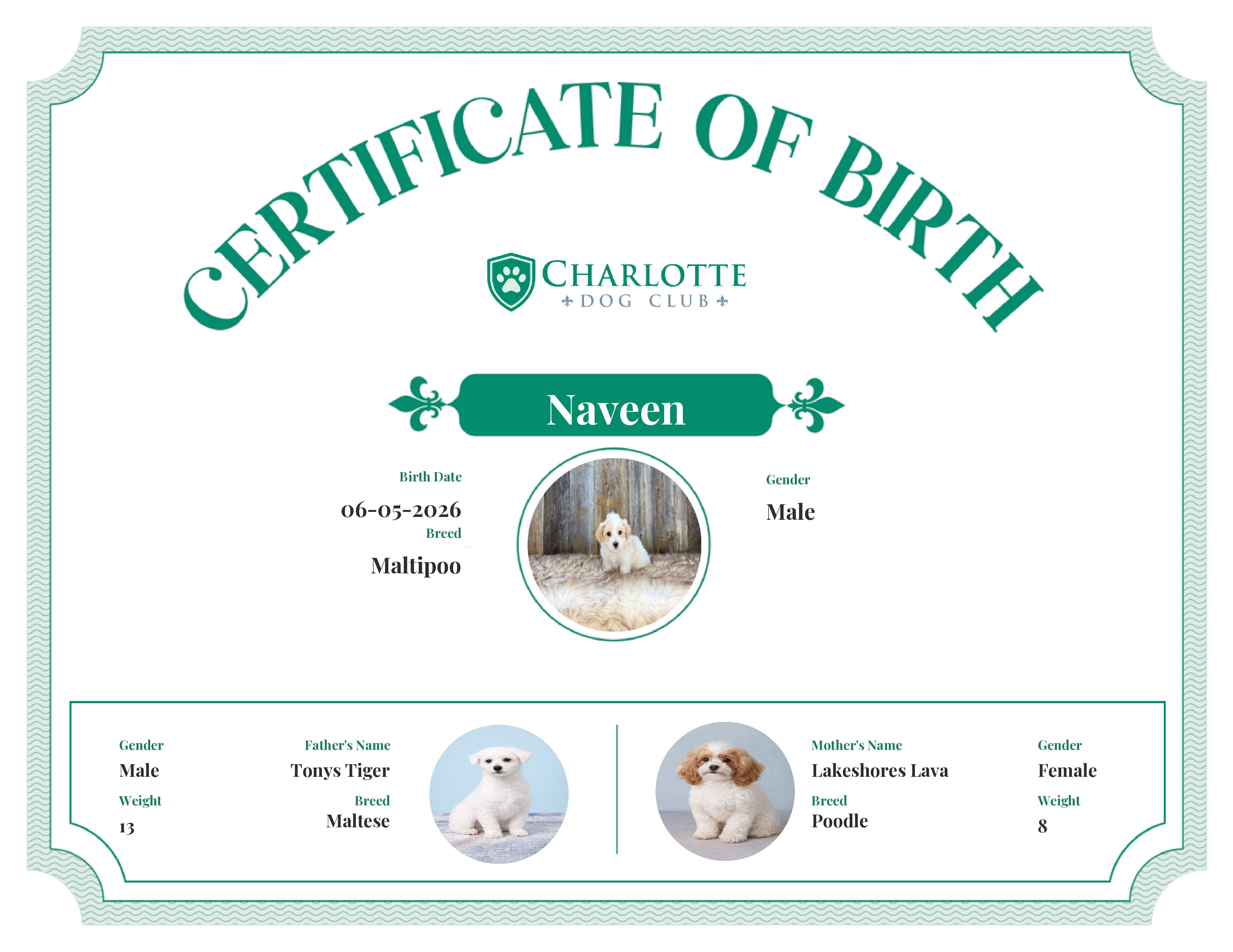 Naveen's Birth Certificate