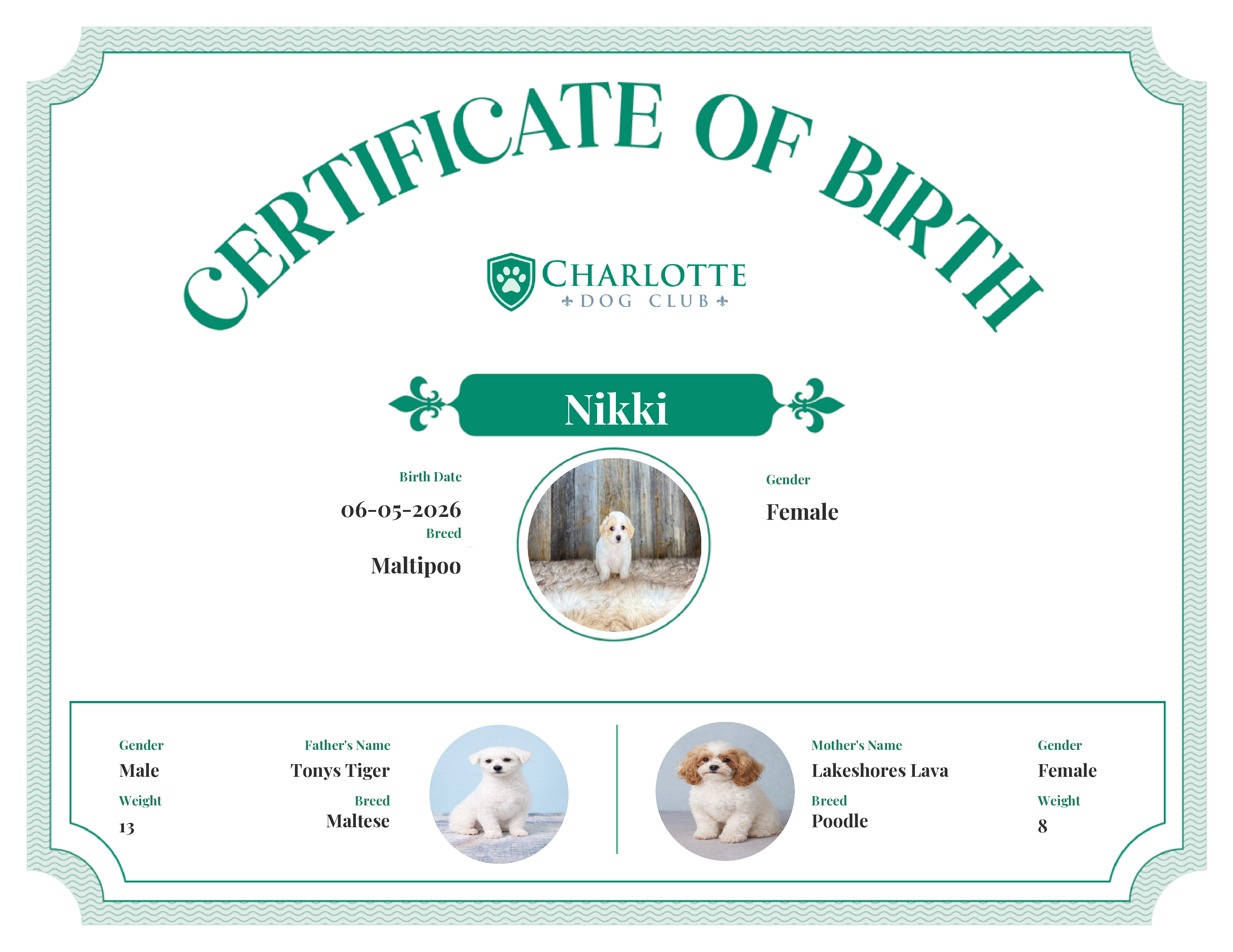 Nikki's Birth Certificate