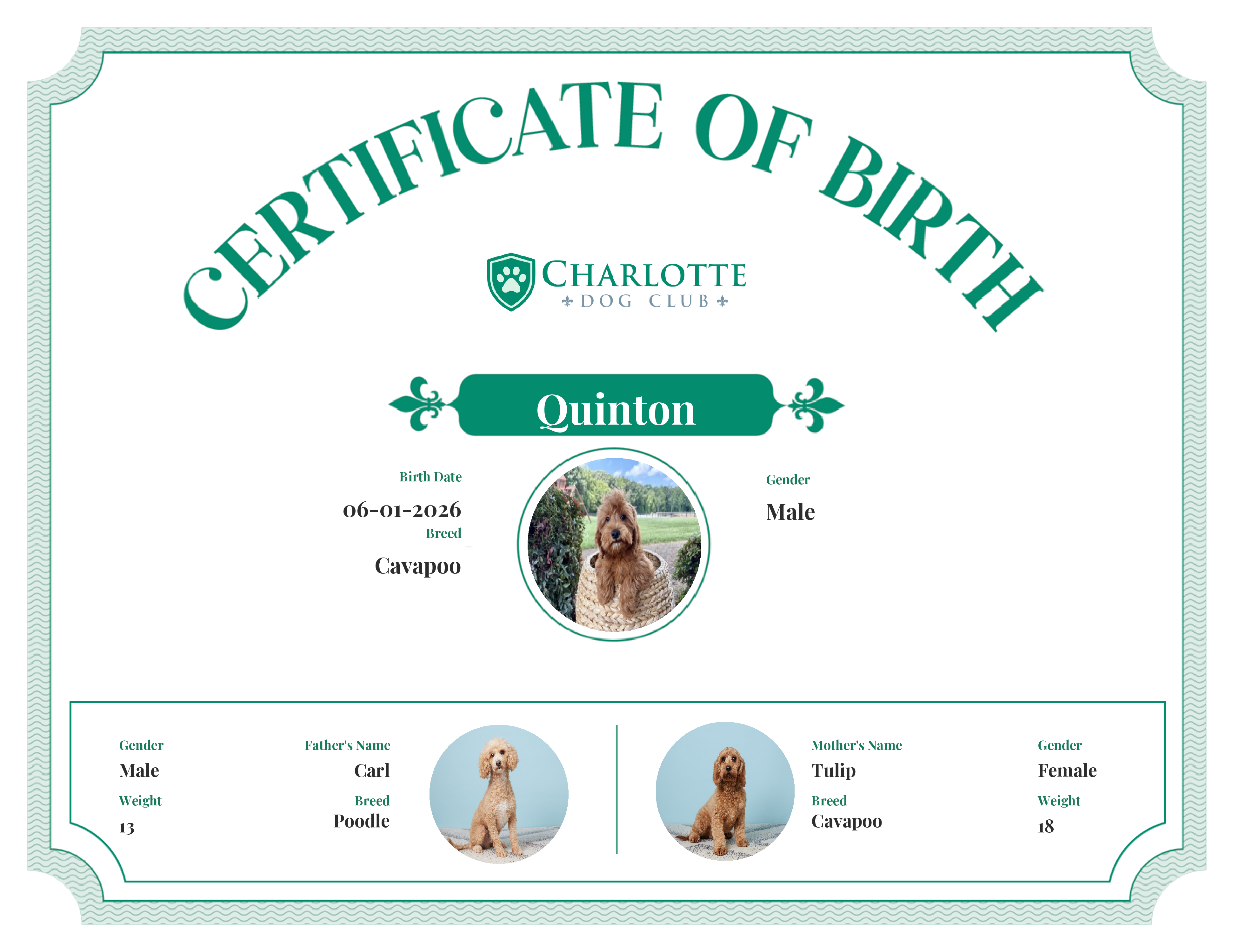 Quinton's Birth Certificate