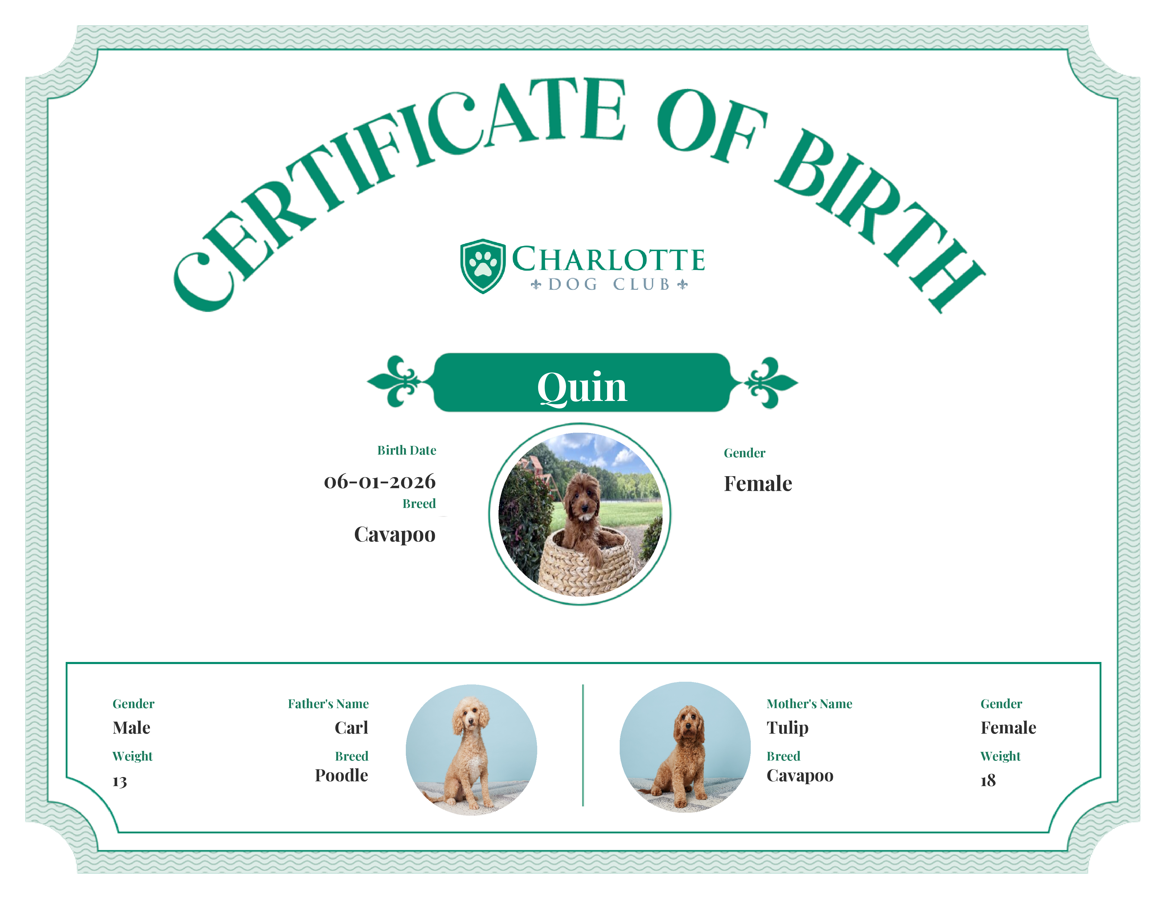 Quin's Birth Certificate
