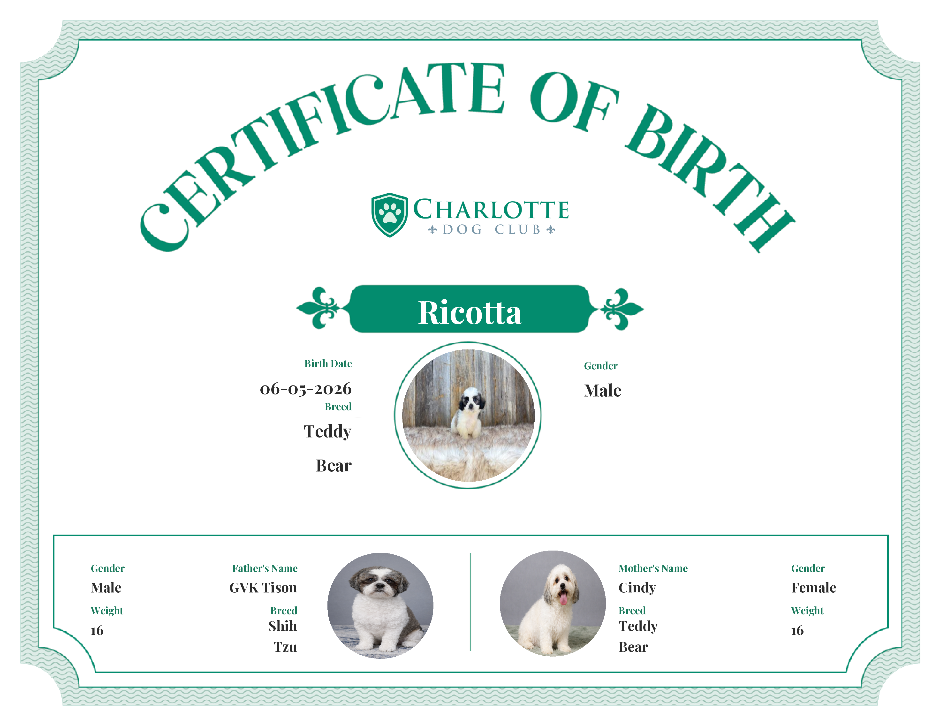 Ricotta's Birth Certificate