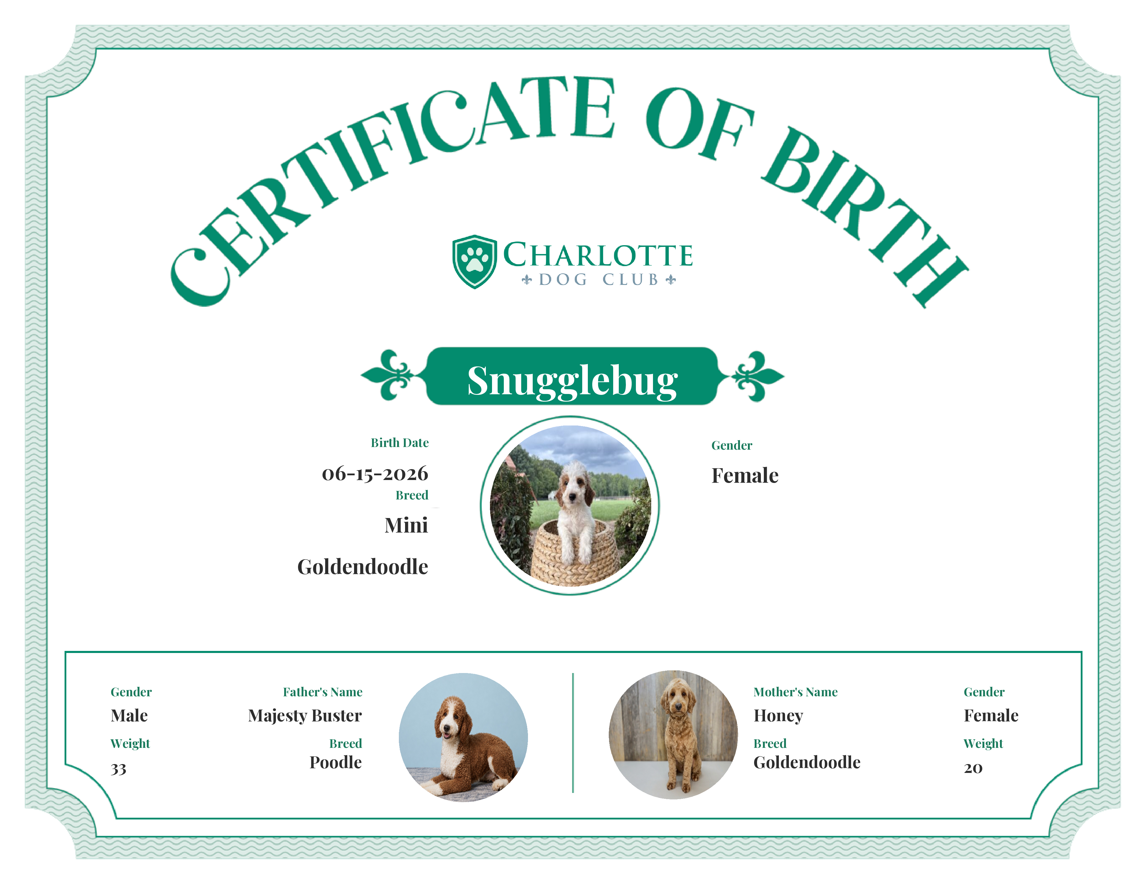 Snugglebug's Birth Certificate