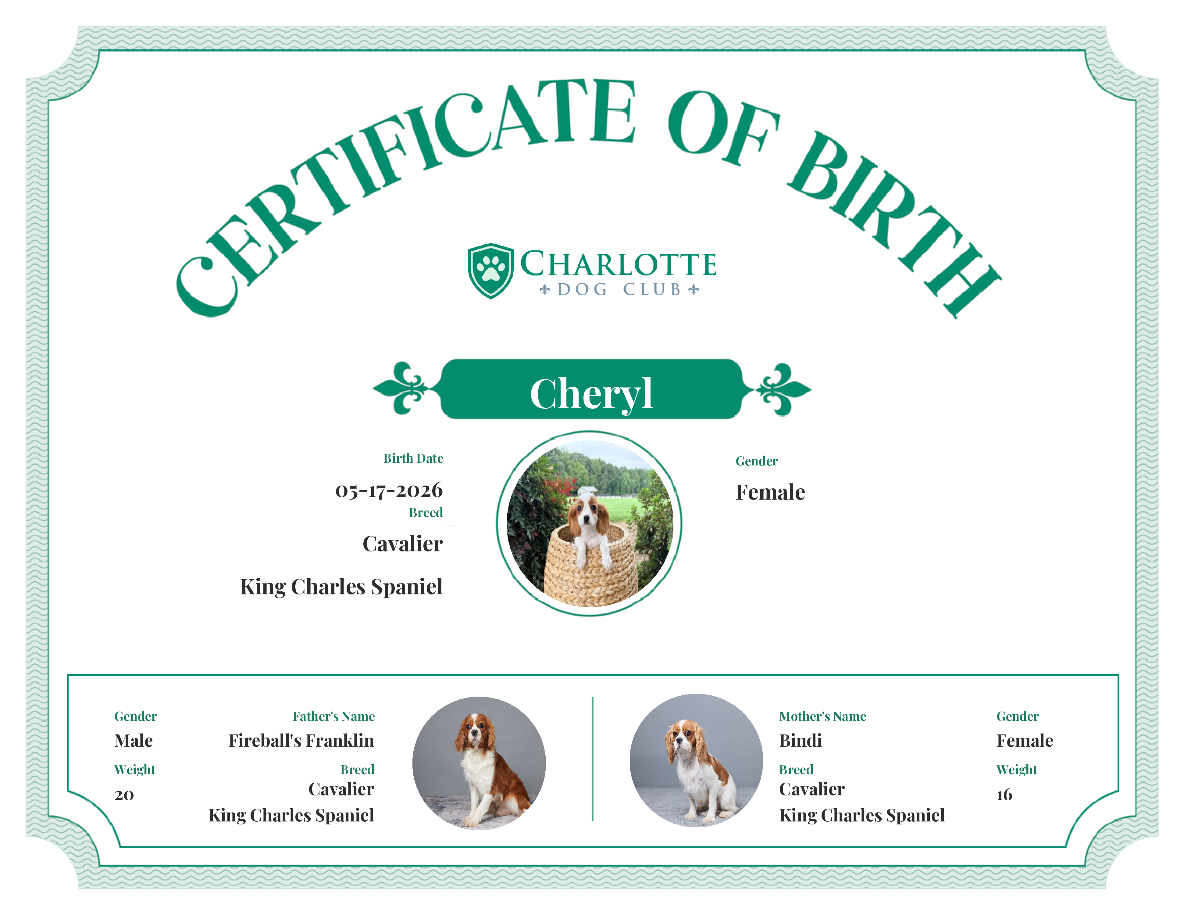 Cheryl's Birth Certificate
