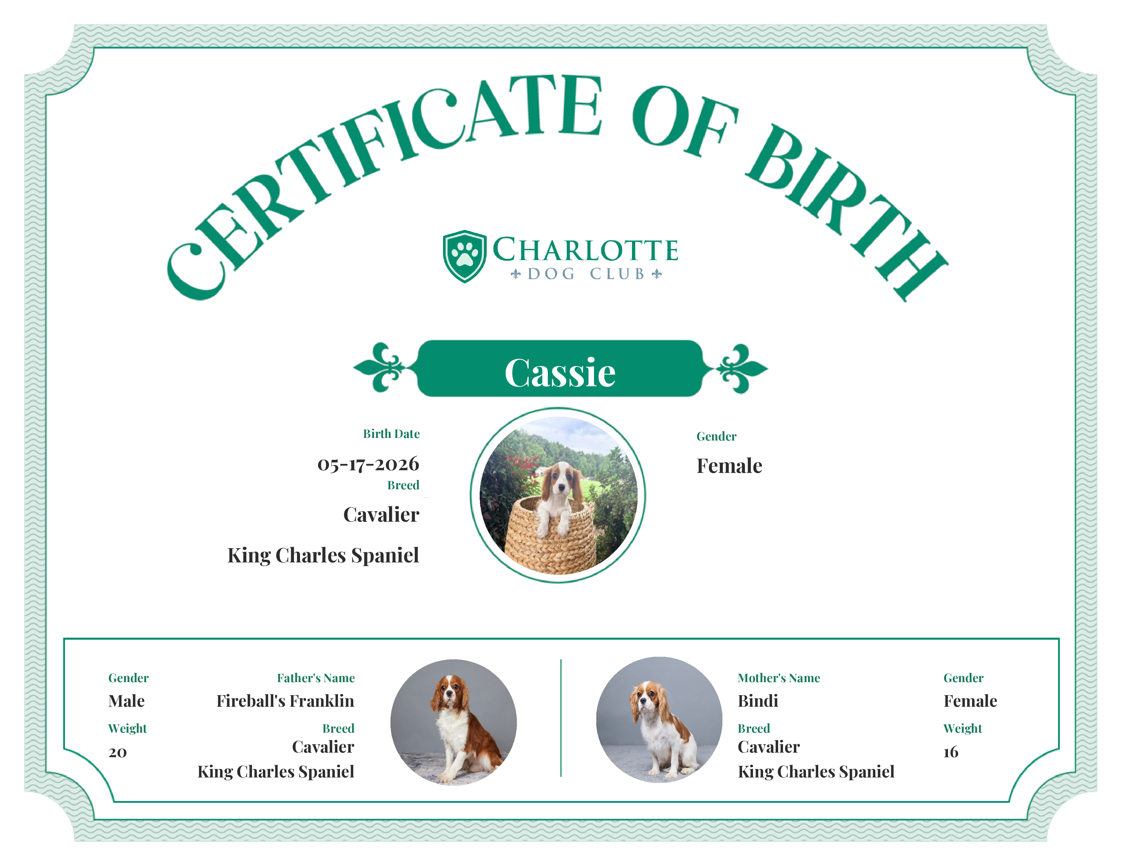 Cassie's Birth Certificate